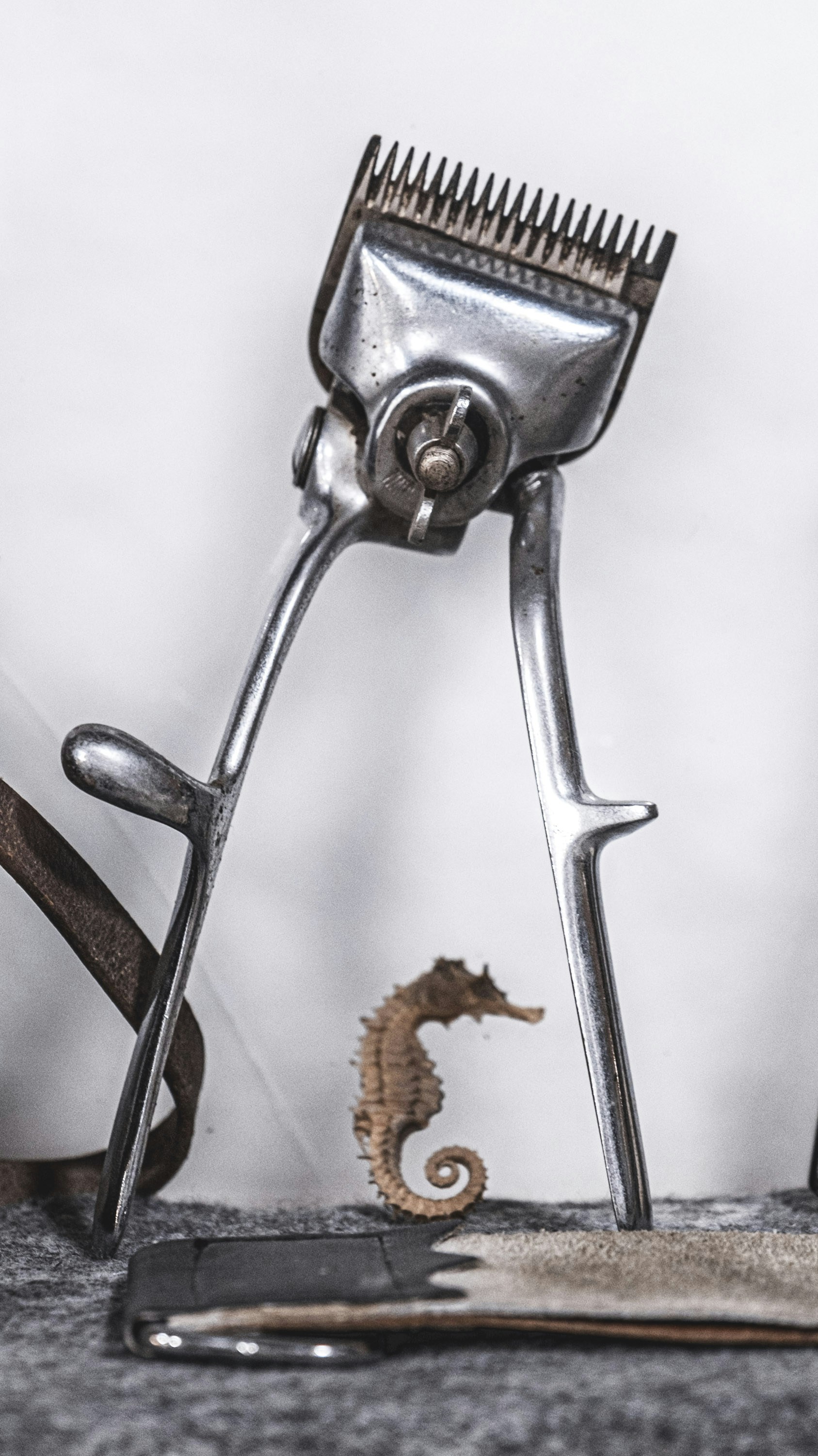 A close up of a pair of scissors on a table