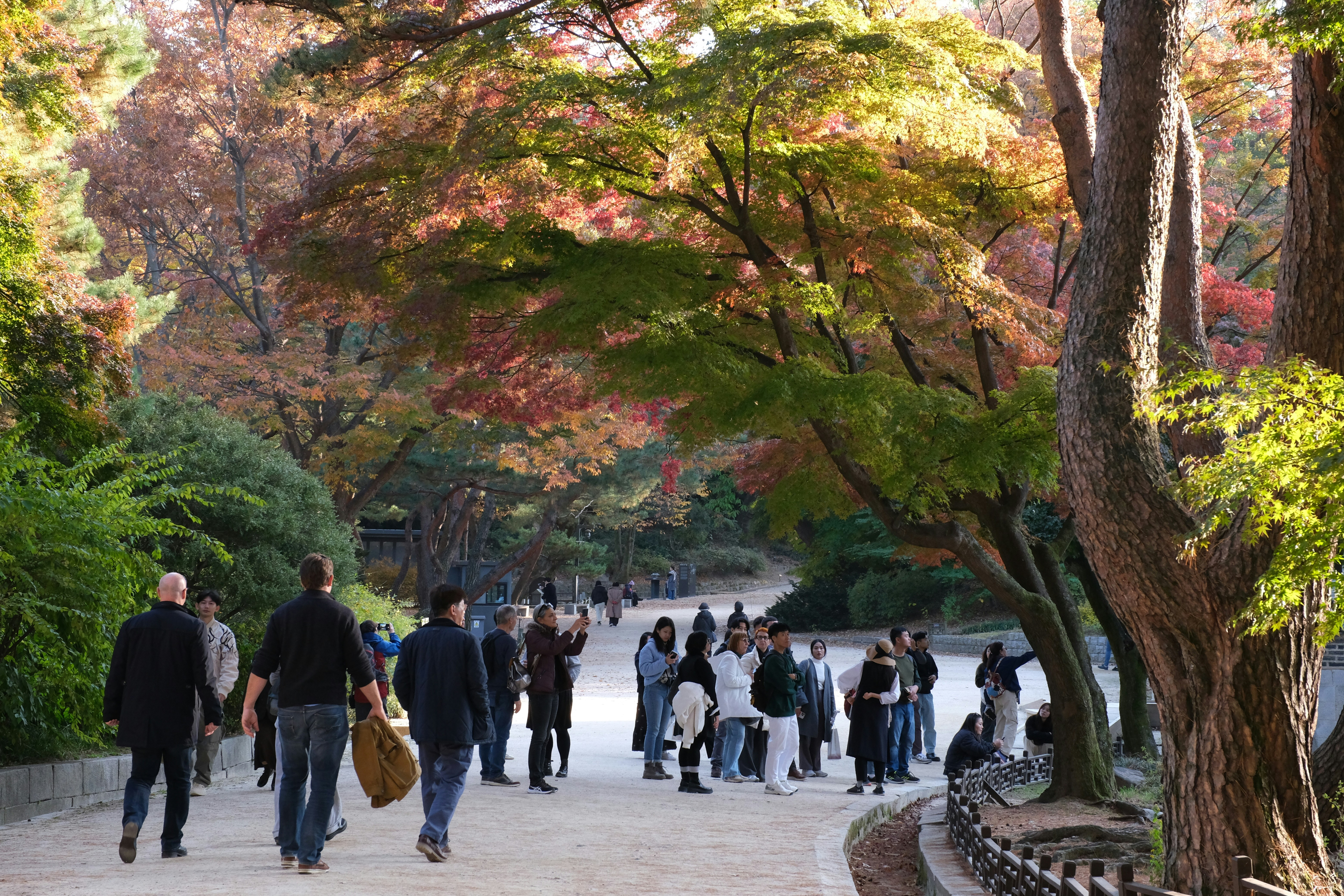 A group of people walking through a park