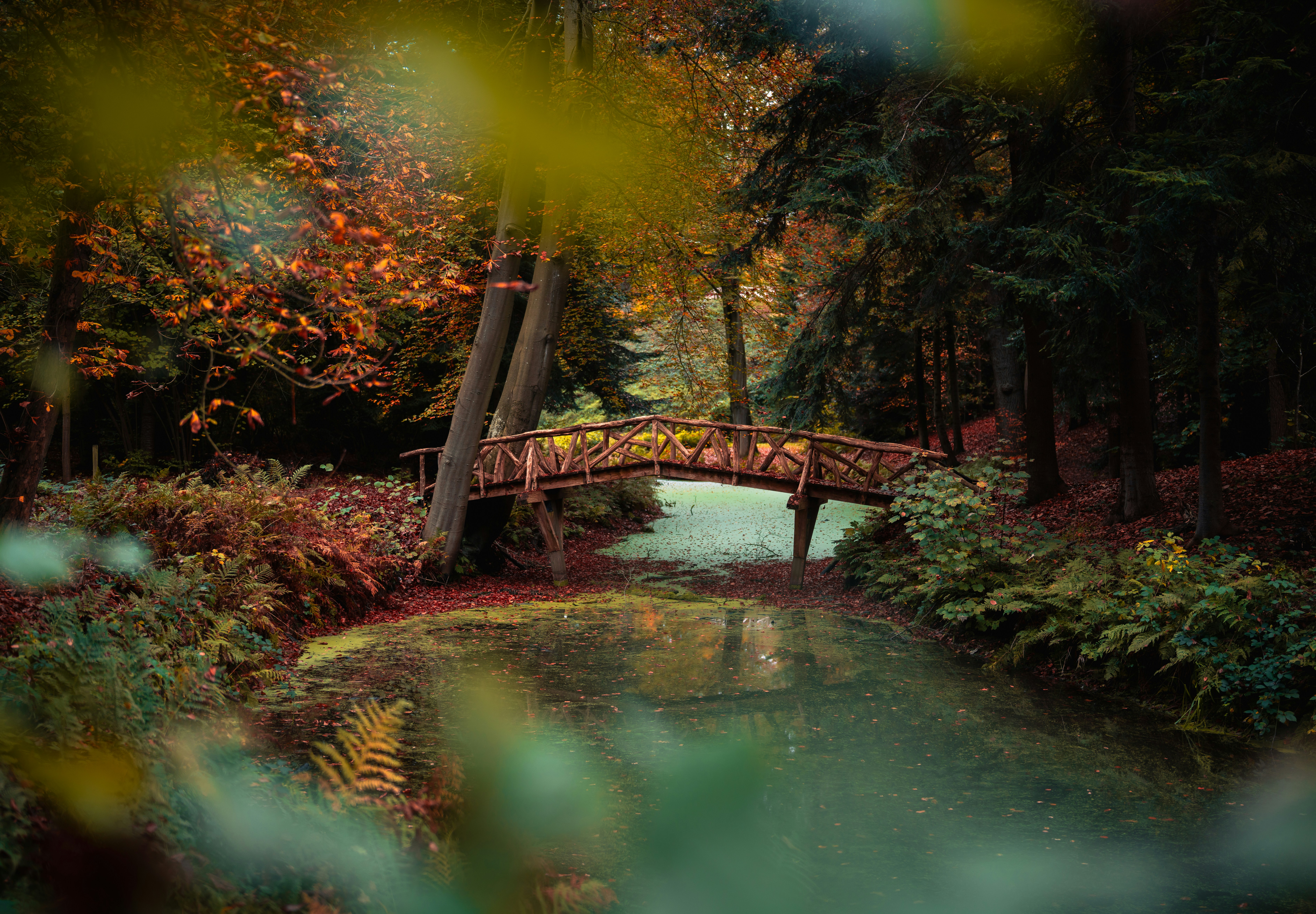 Afbeelding van Slochteren