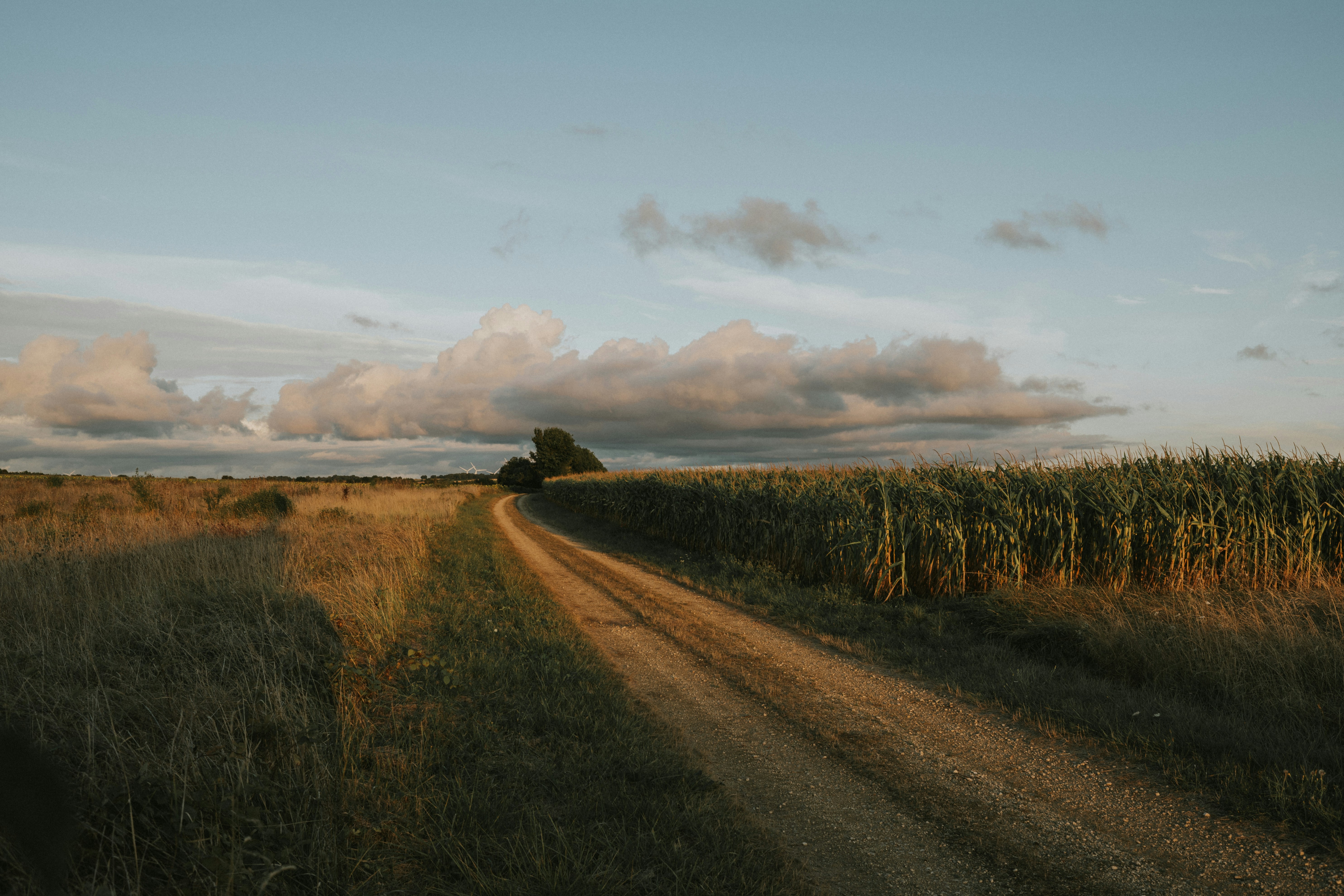 Photo by alexandretopolewski