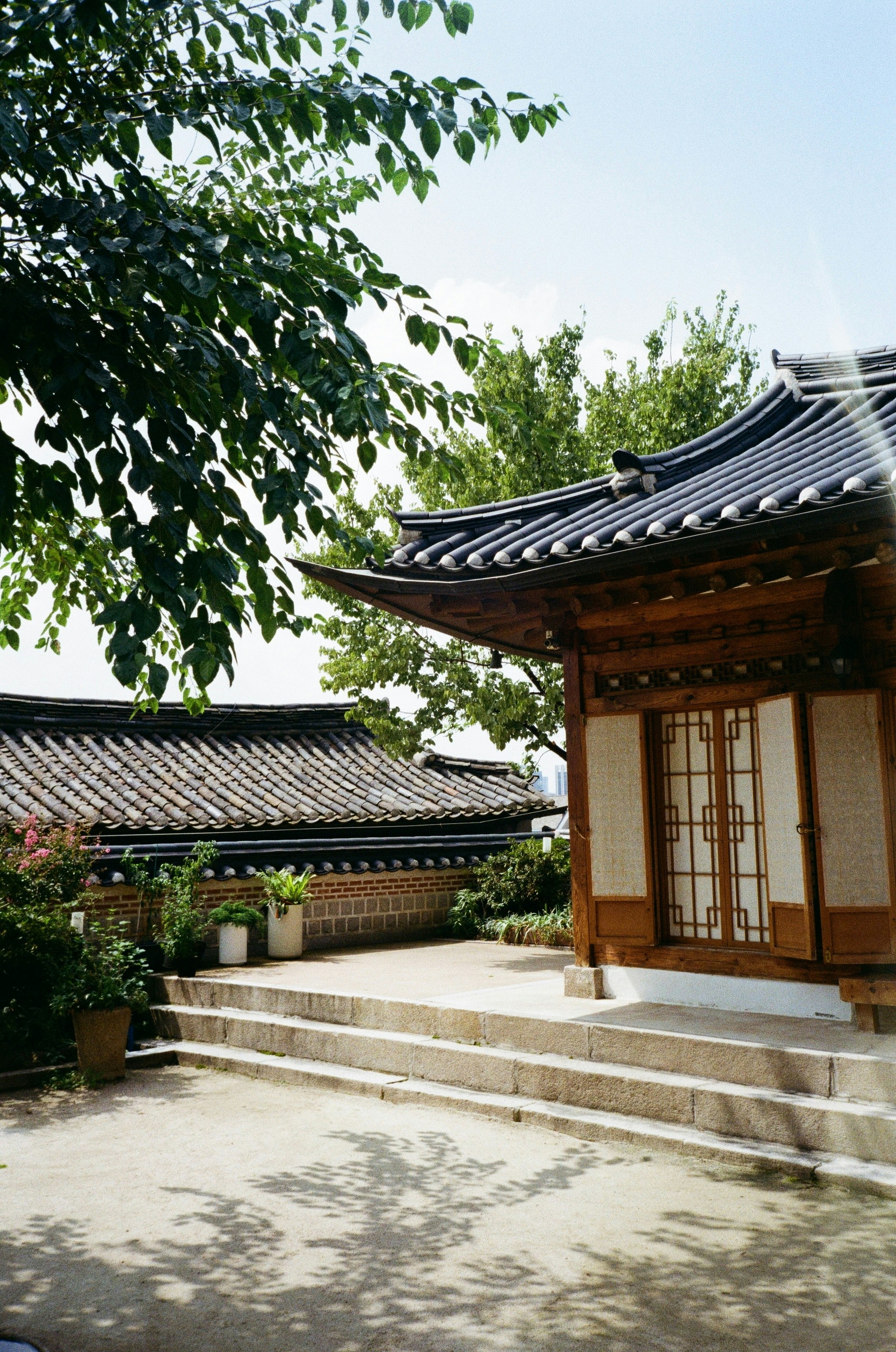 Photo by iridescentstars