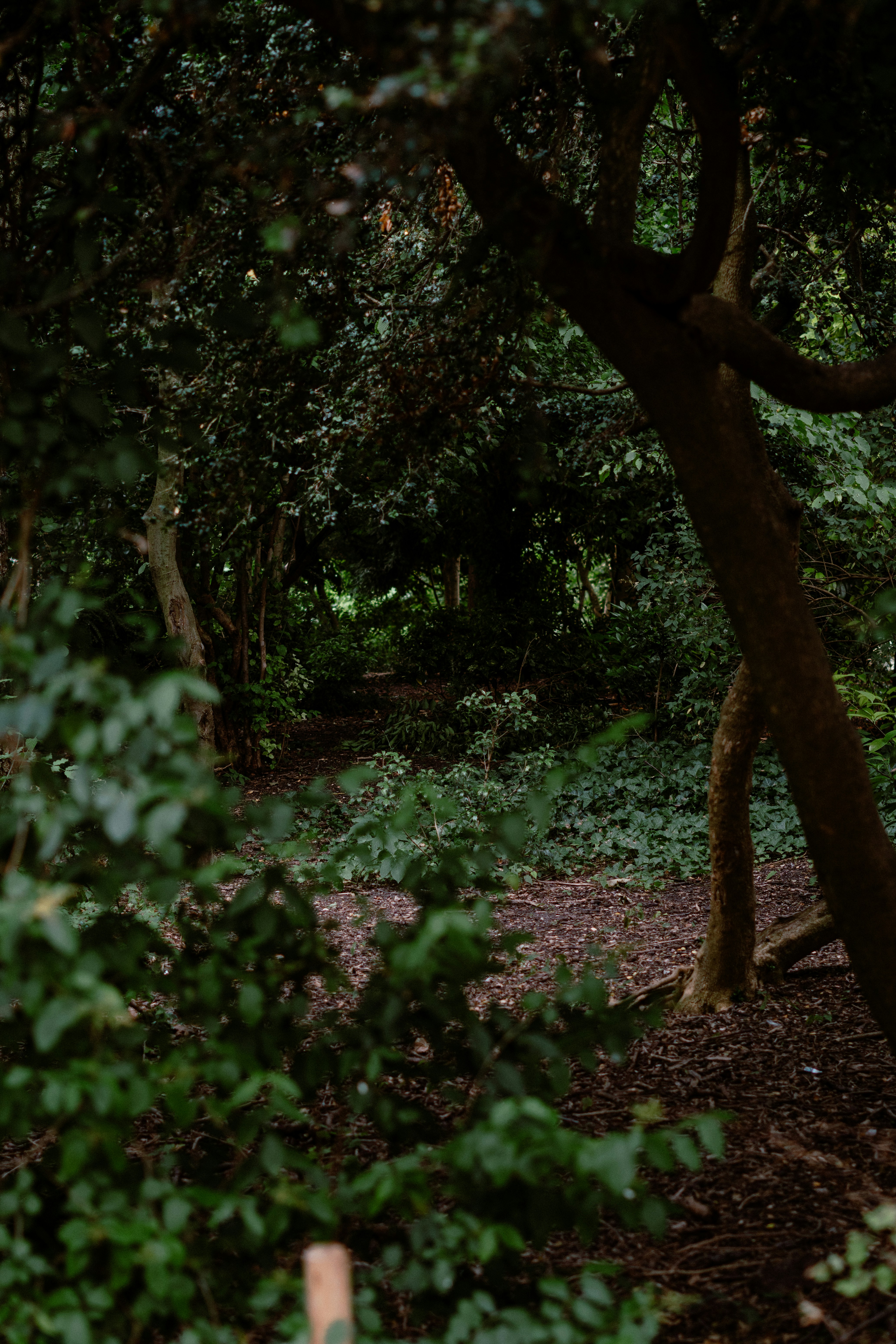 Photo by eliott_goutard