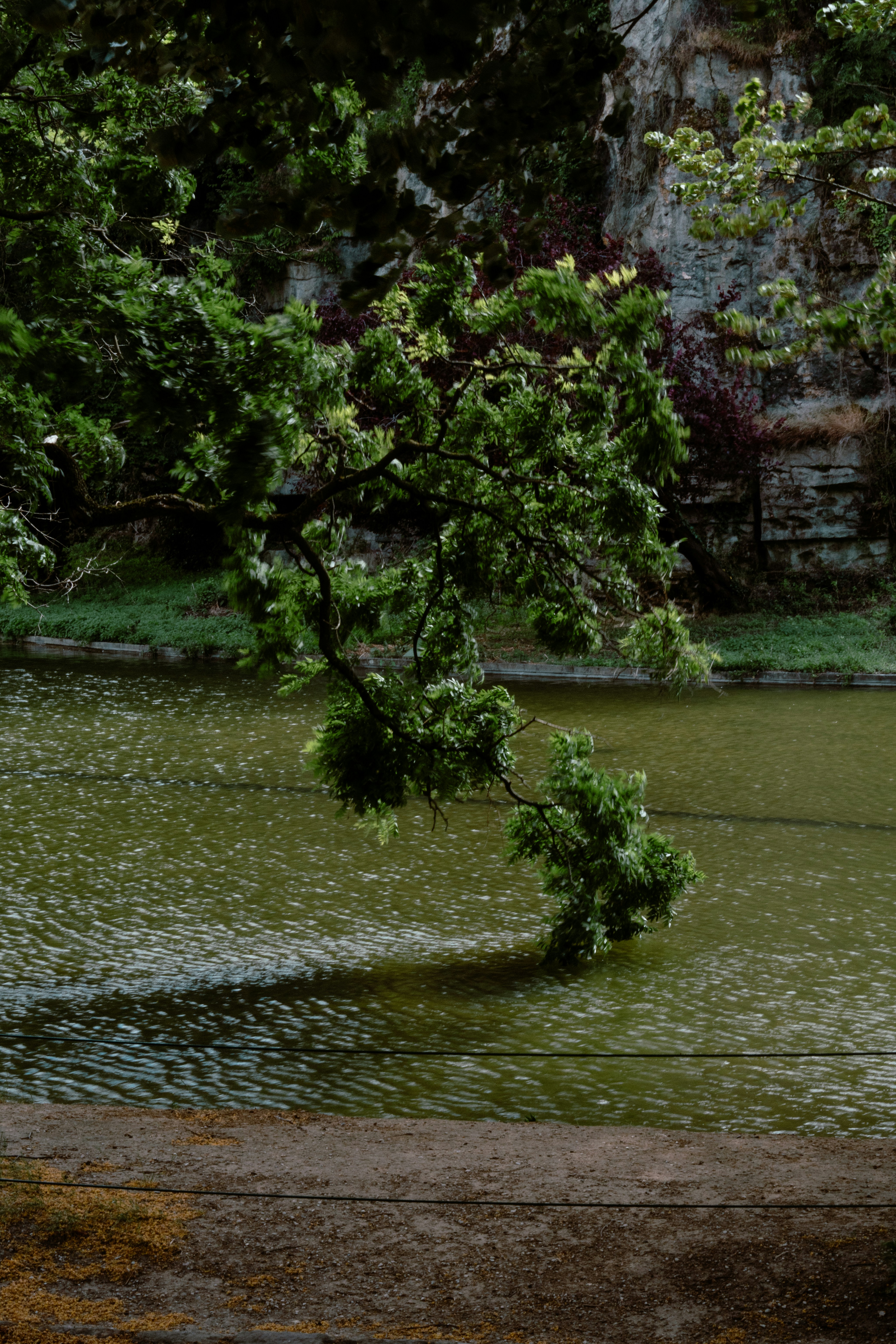 Photo by eliott_goutard