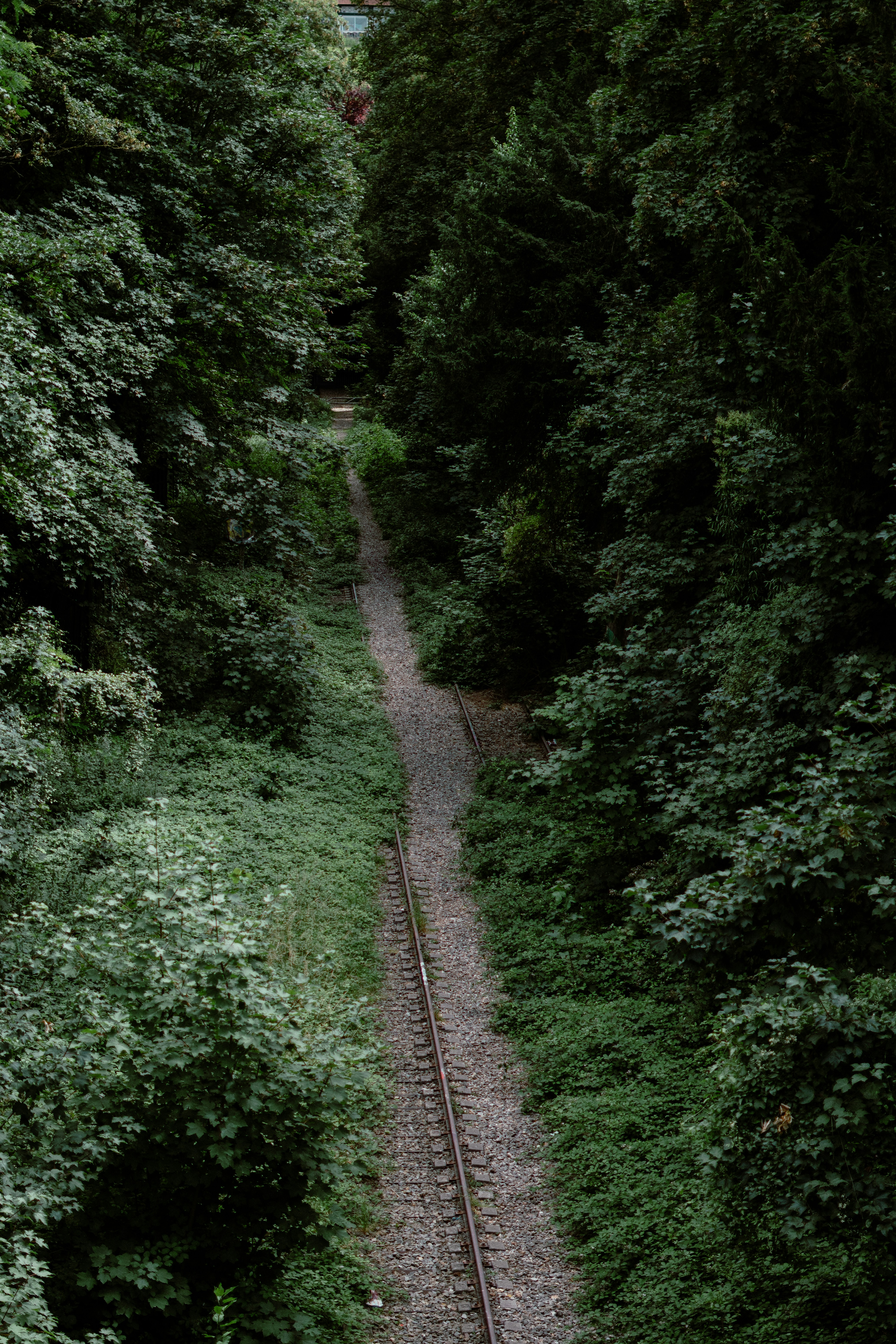 Photo by eliott_goutard