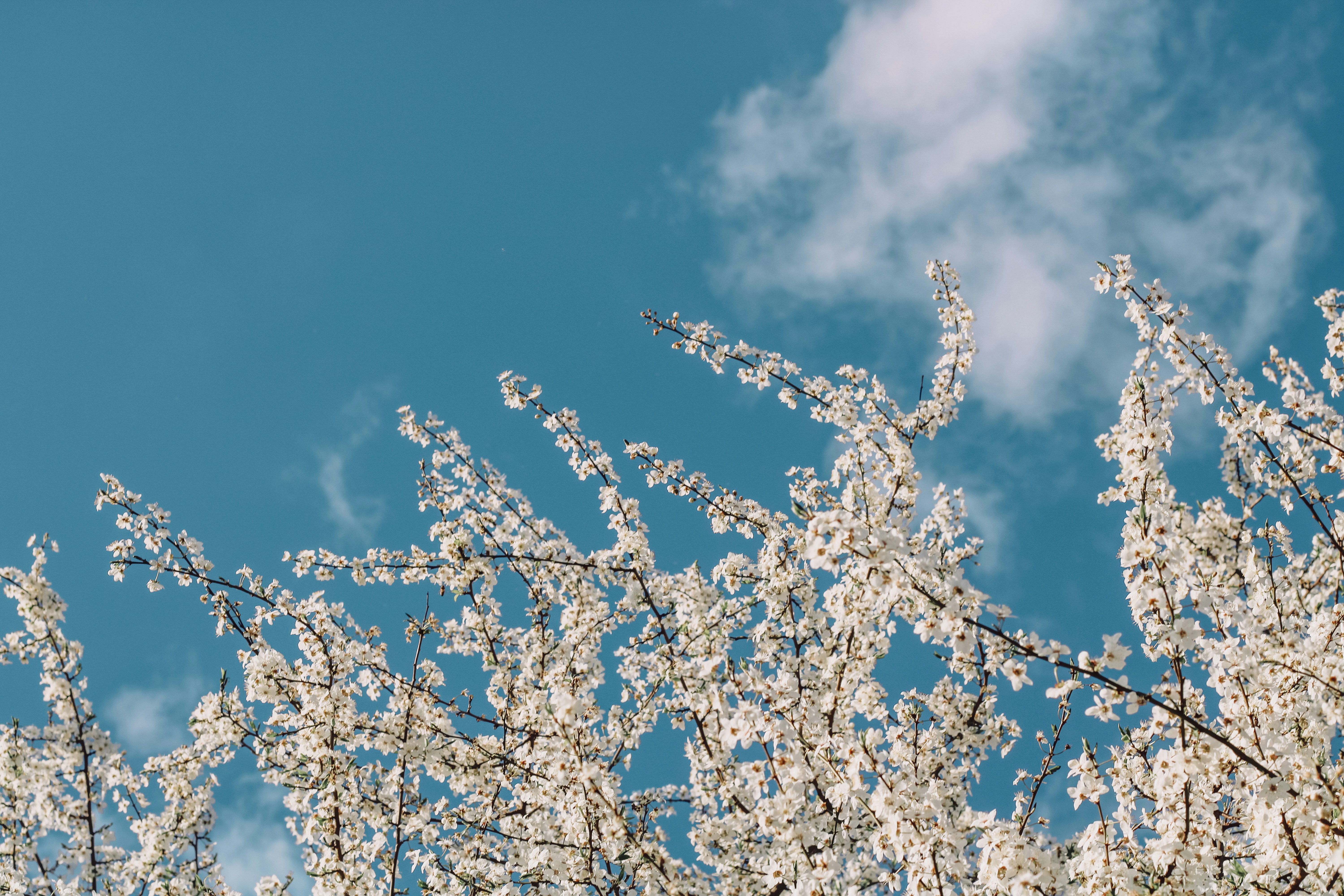 Photo by mineral_of_demon