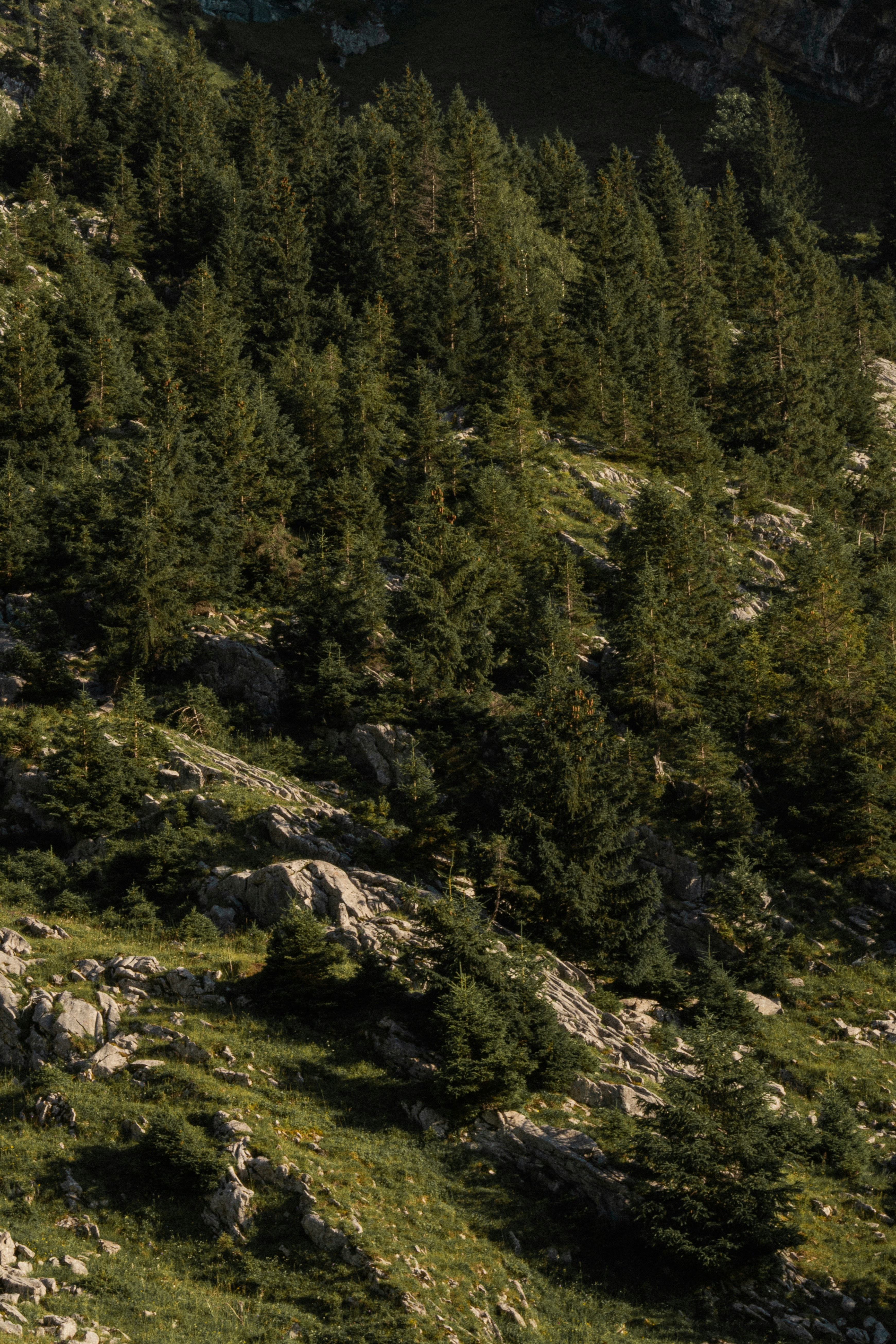 Photo by eliott_goutard