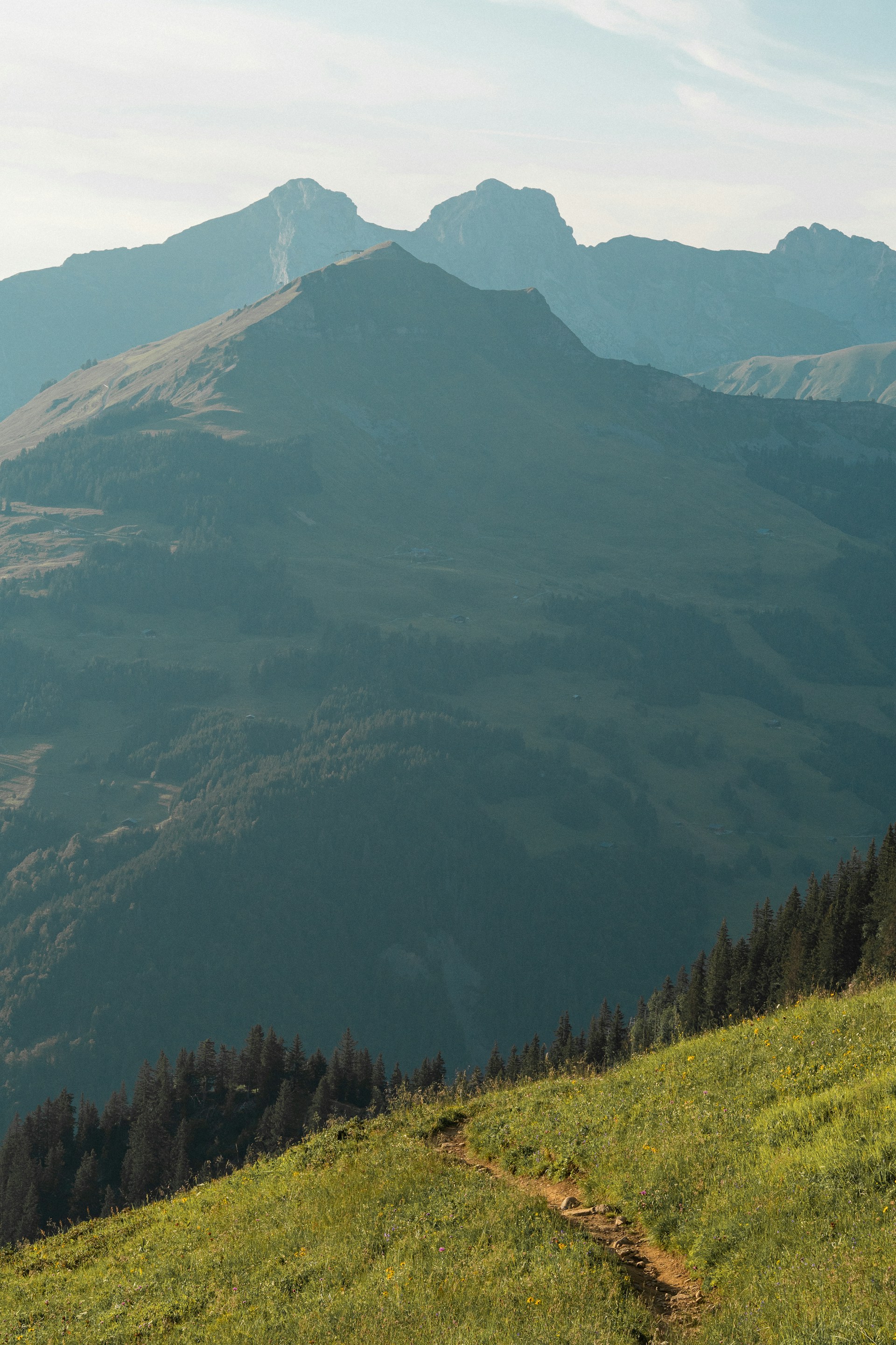 A man riding a bike on top of a lush green hillside