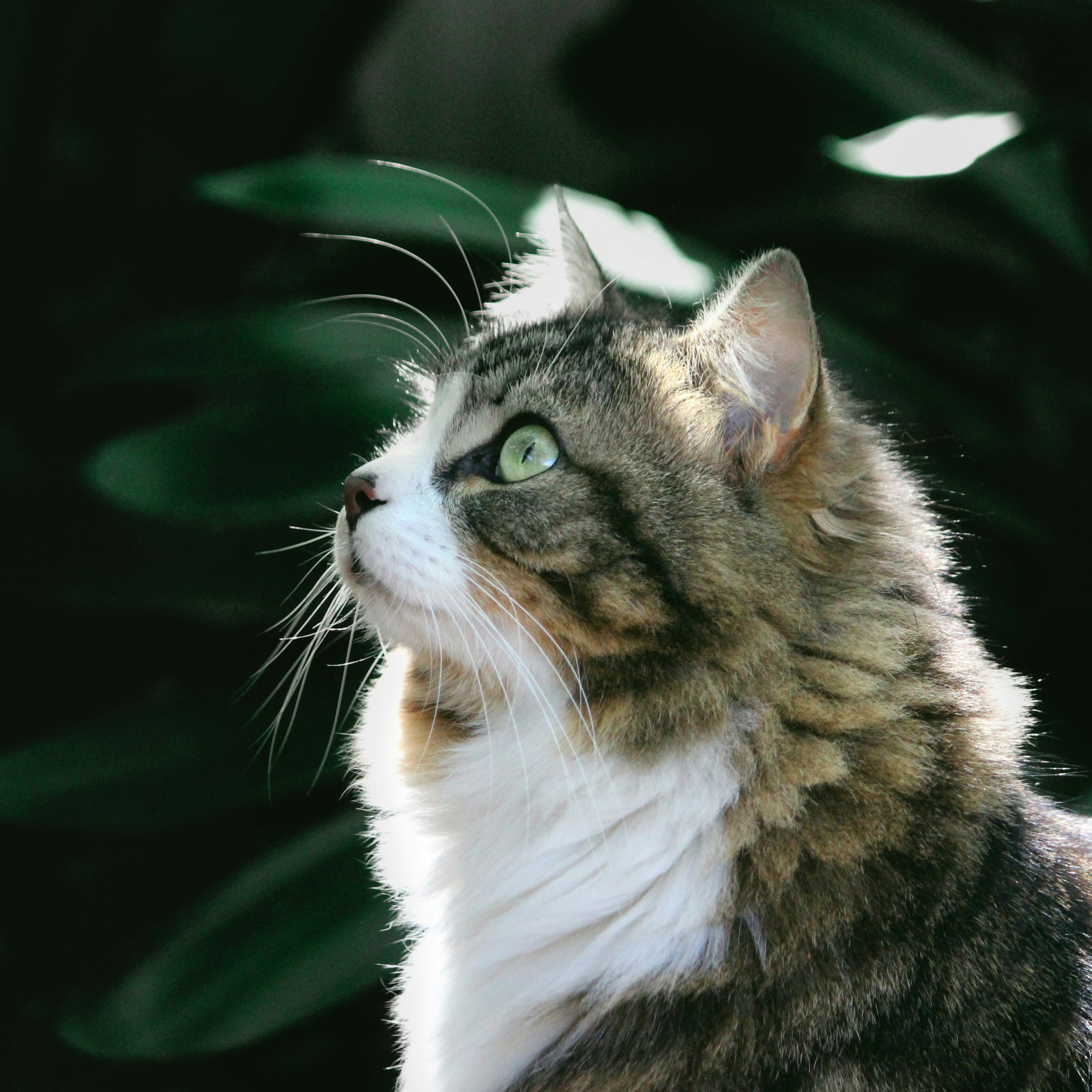 Photo by lauraplambeck