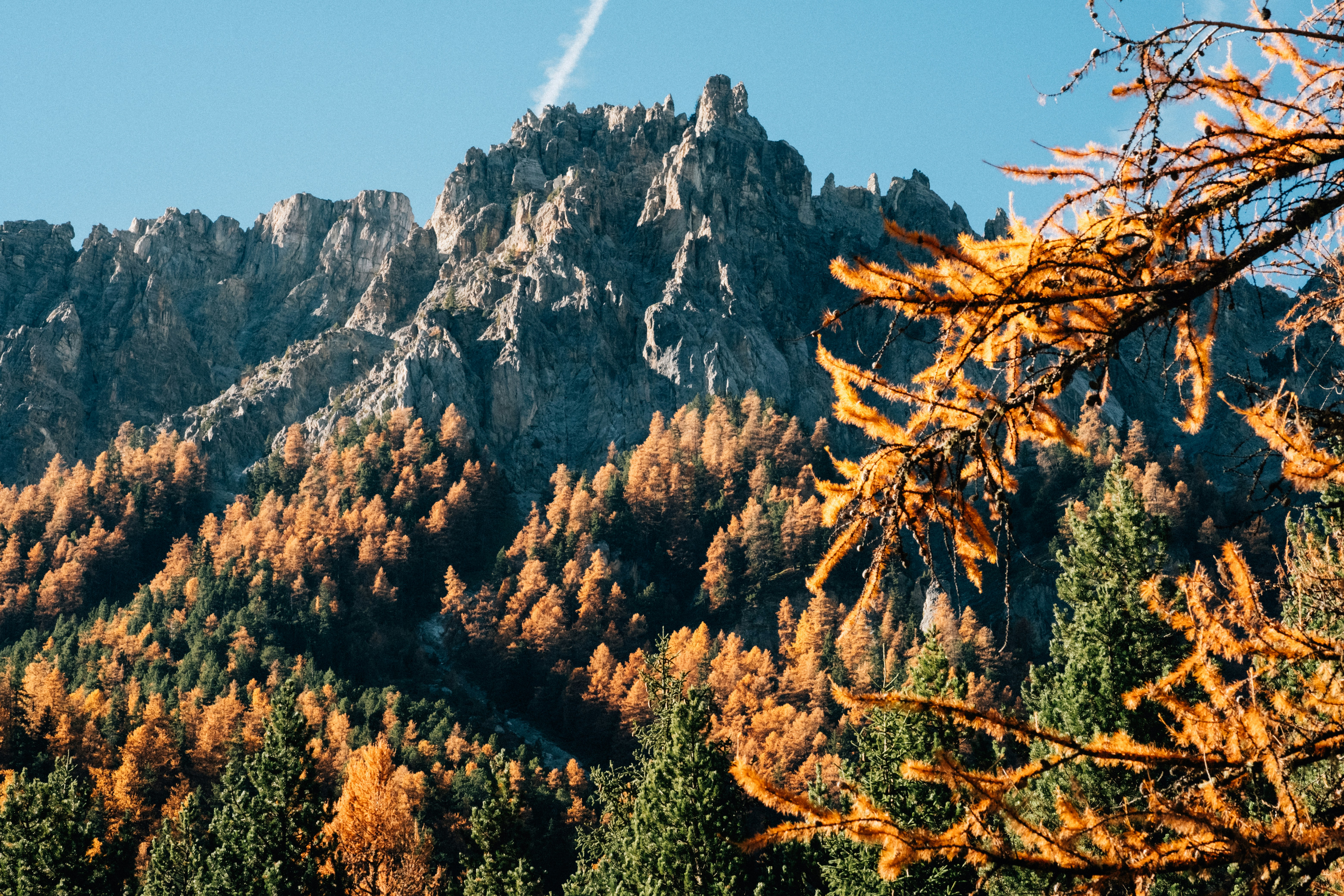 Photo by remimorel05