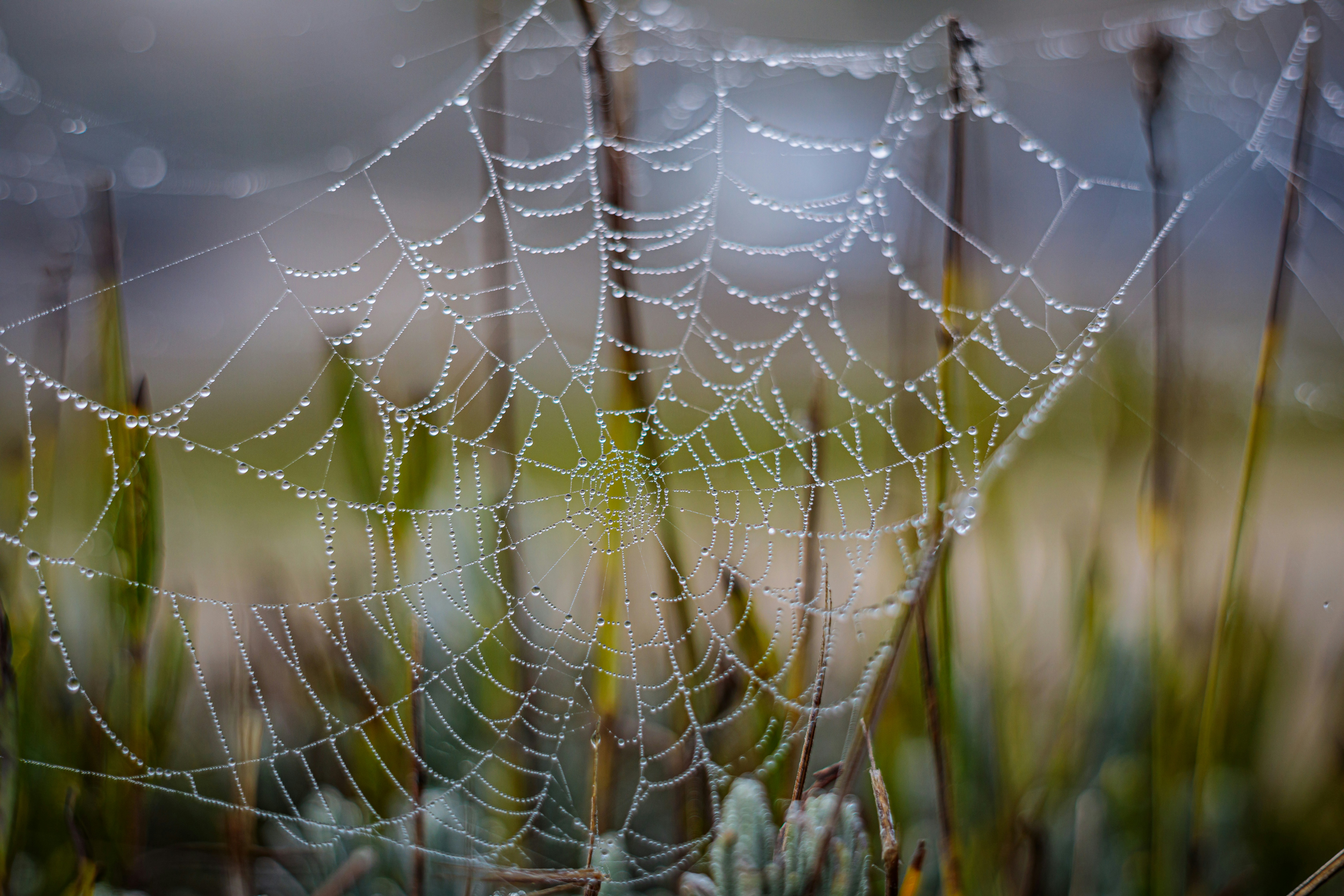 Photo by dreamscape_visions