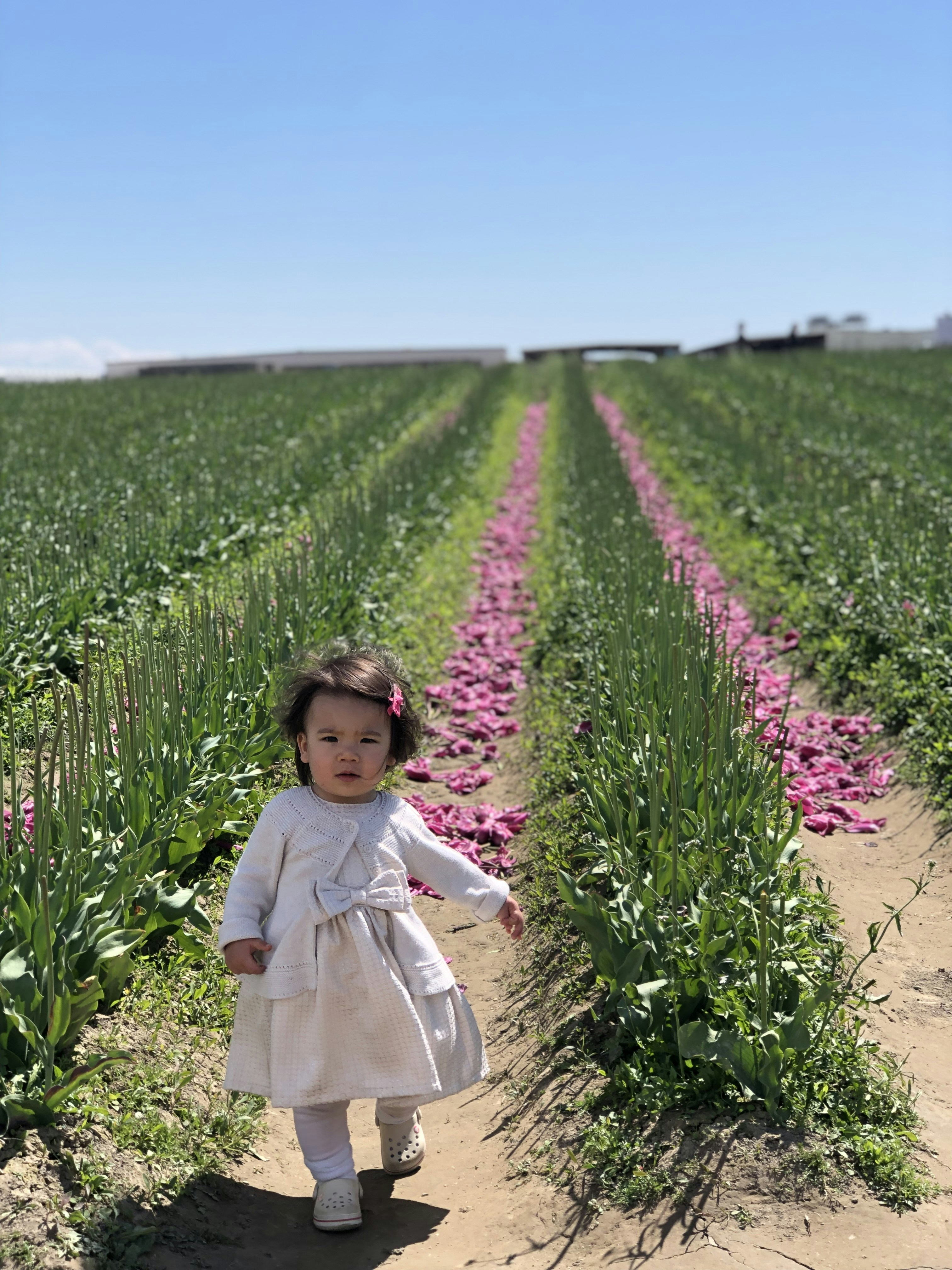Seorang gadis kecil berdiri di tengah ladang
