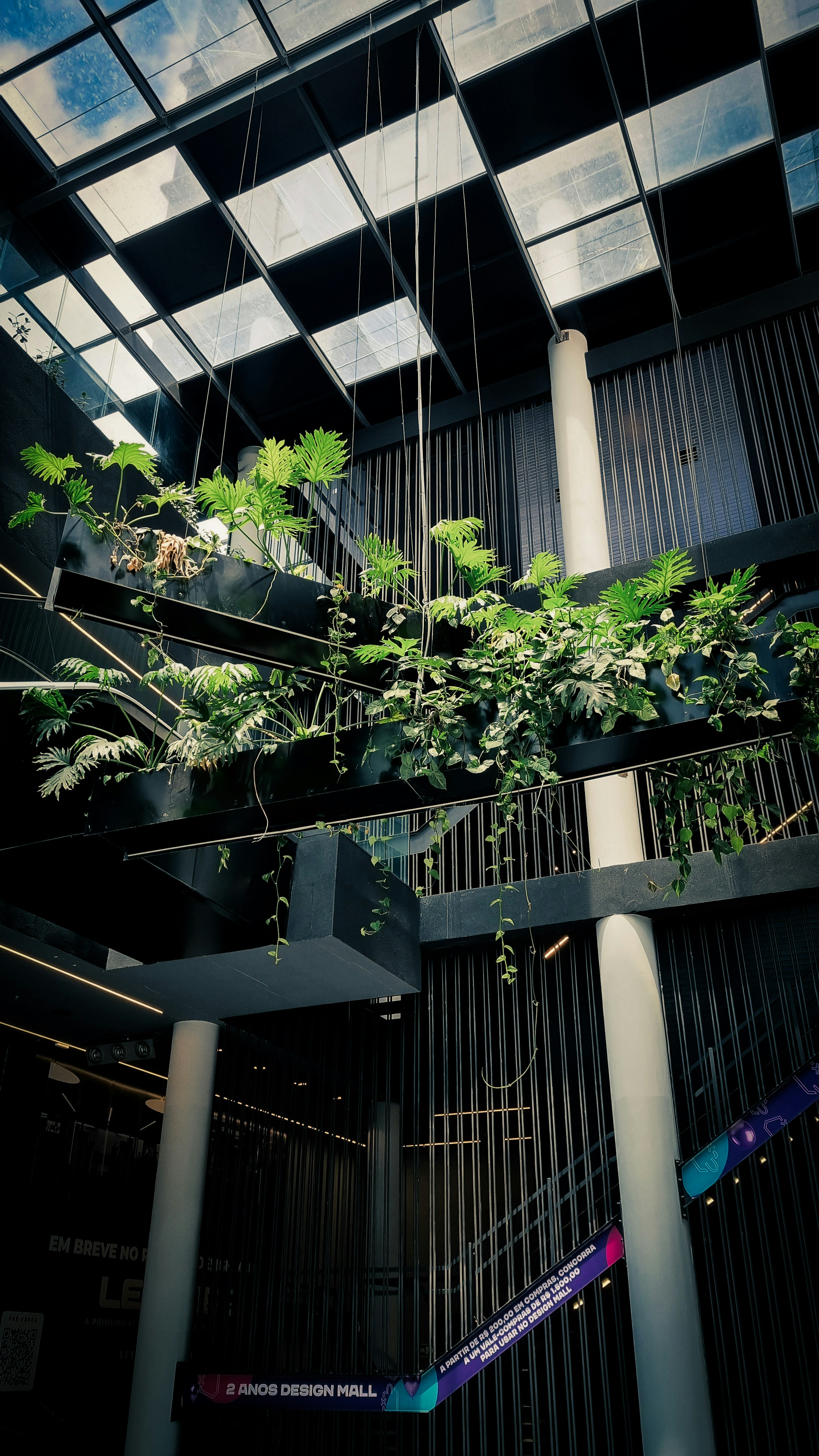 Photo by pedro_henrique