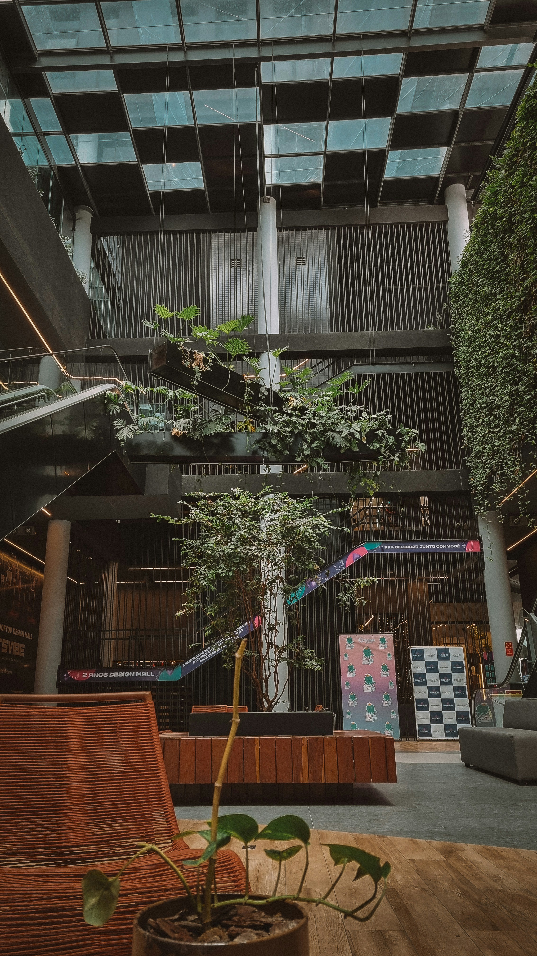 Photo by pedro_henrique