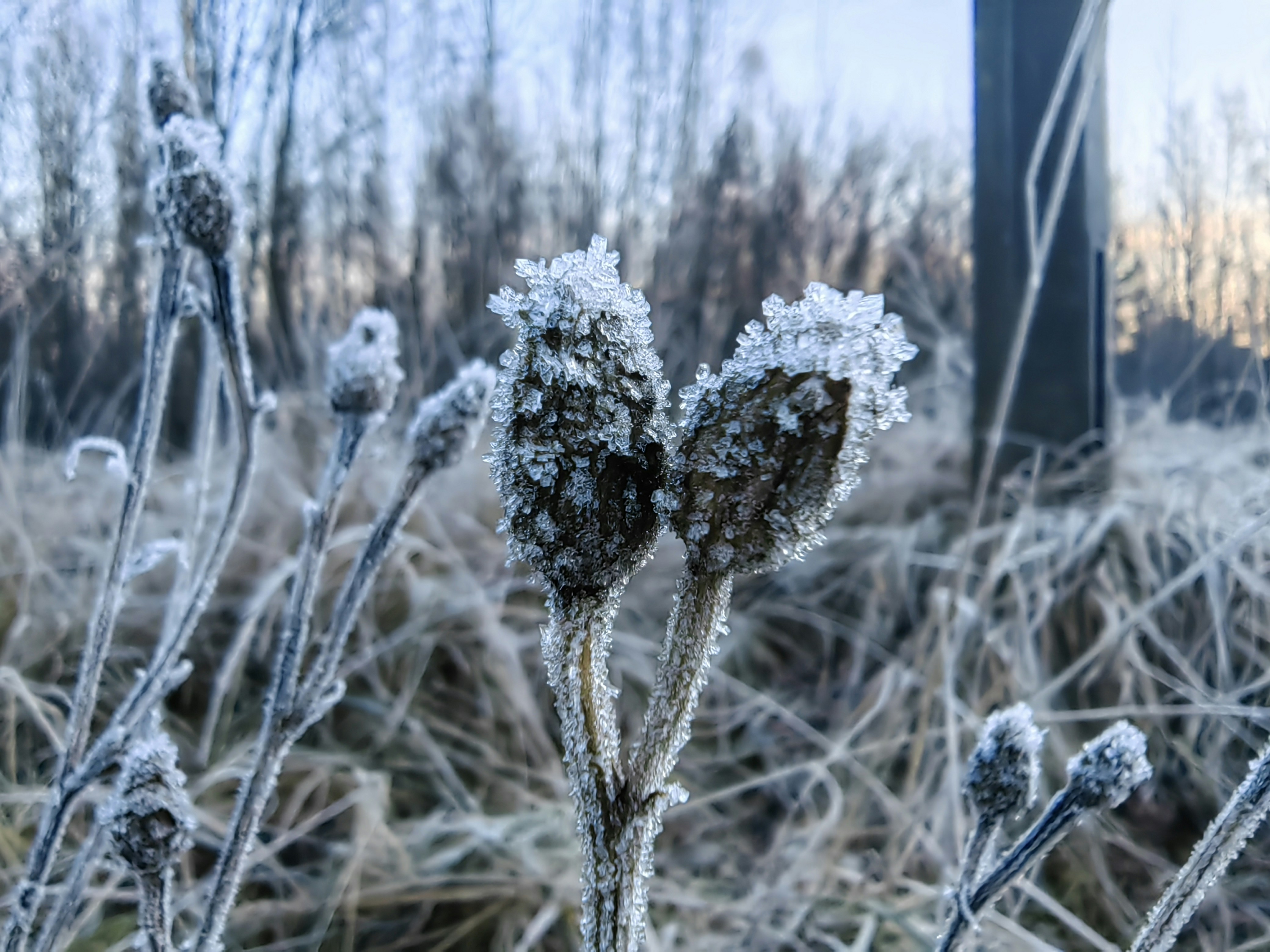 Photo by darkbringer