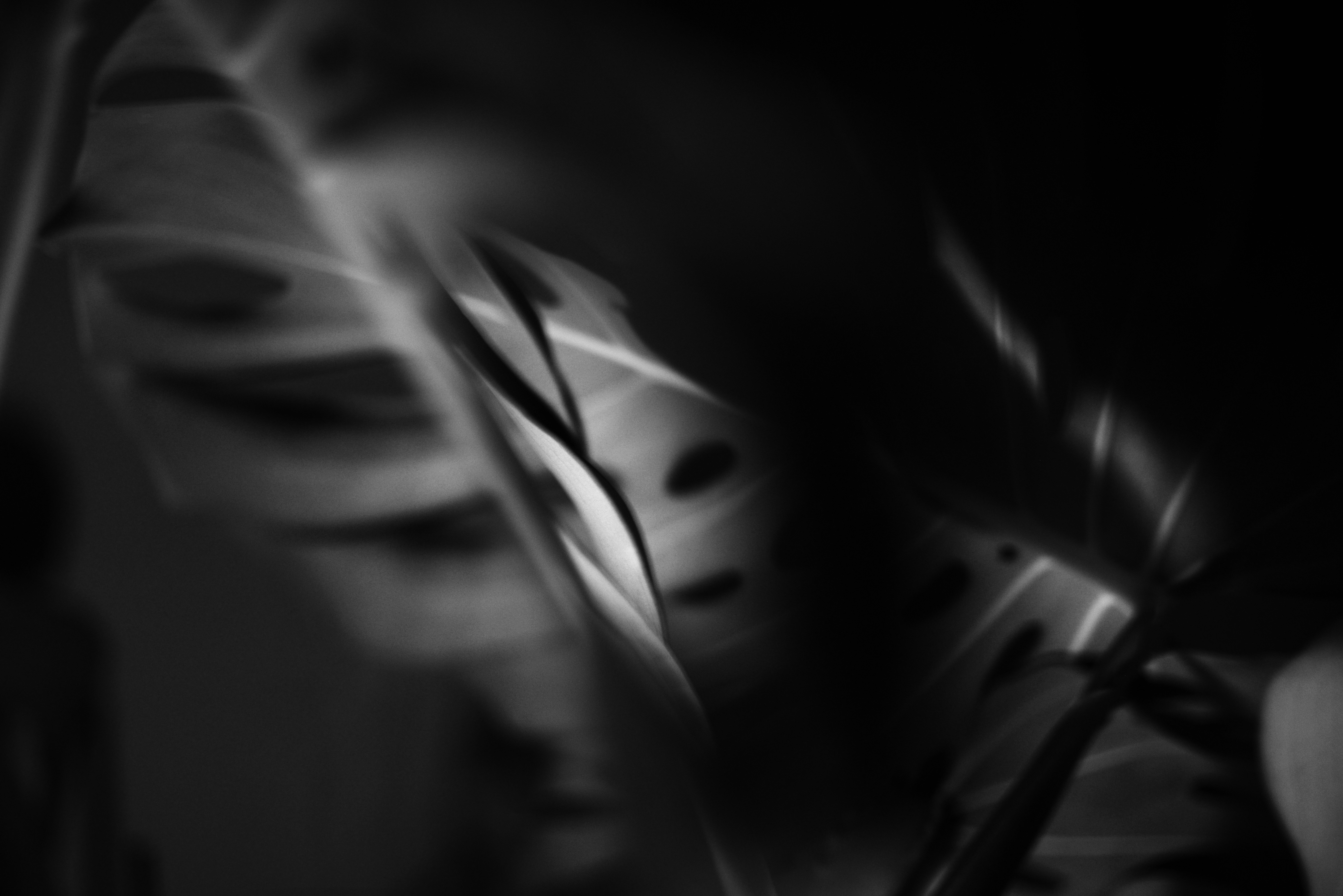 Photo by cherstve_pechivo