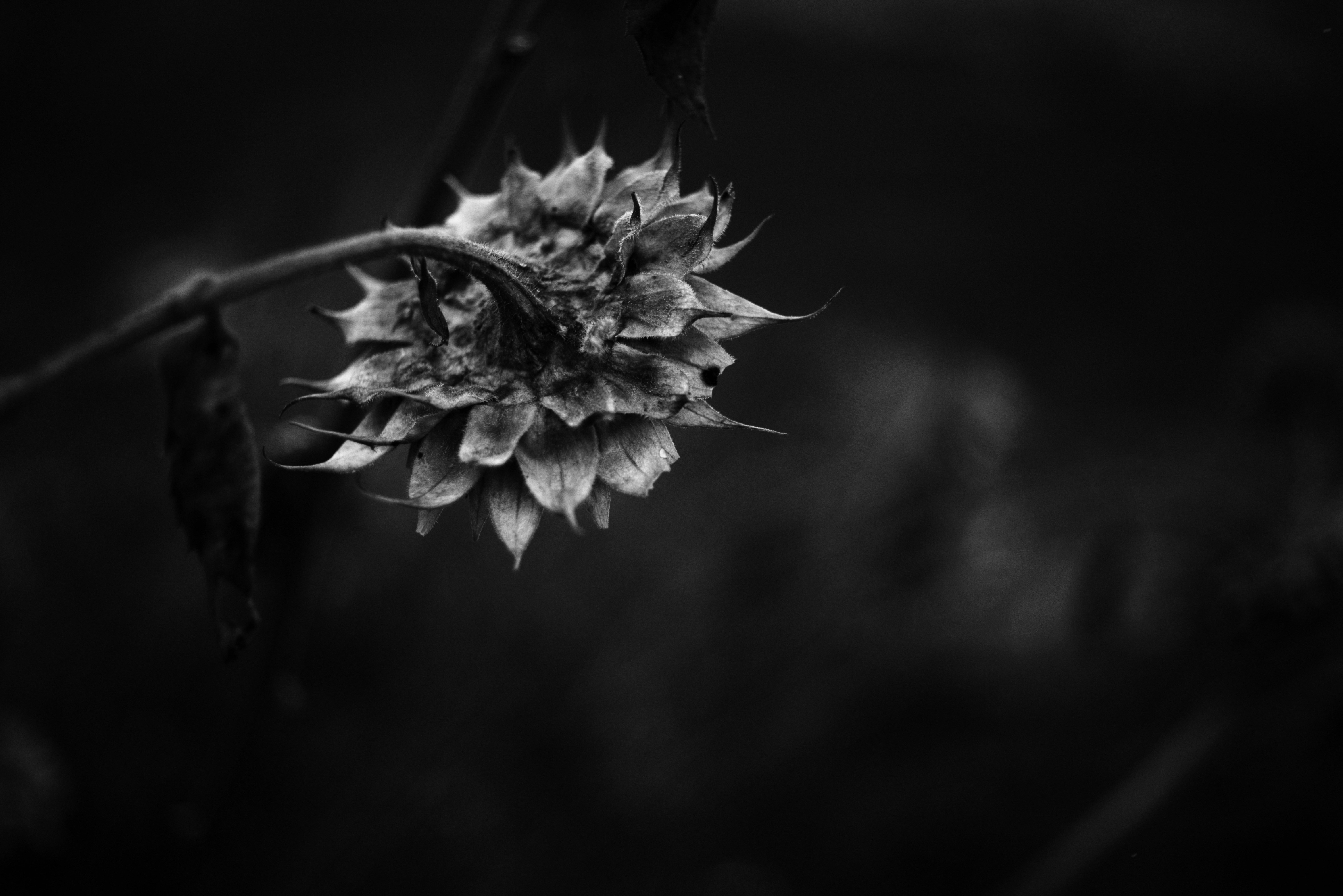 Photo by cherstve_pechivo