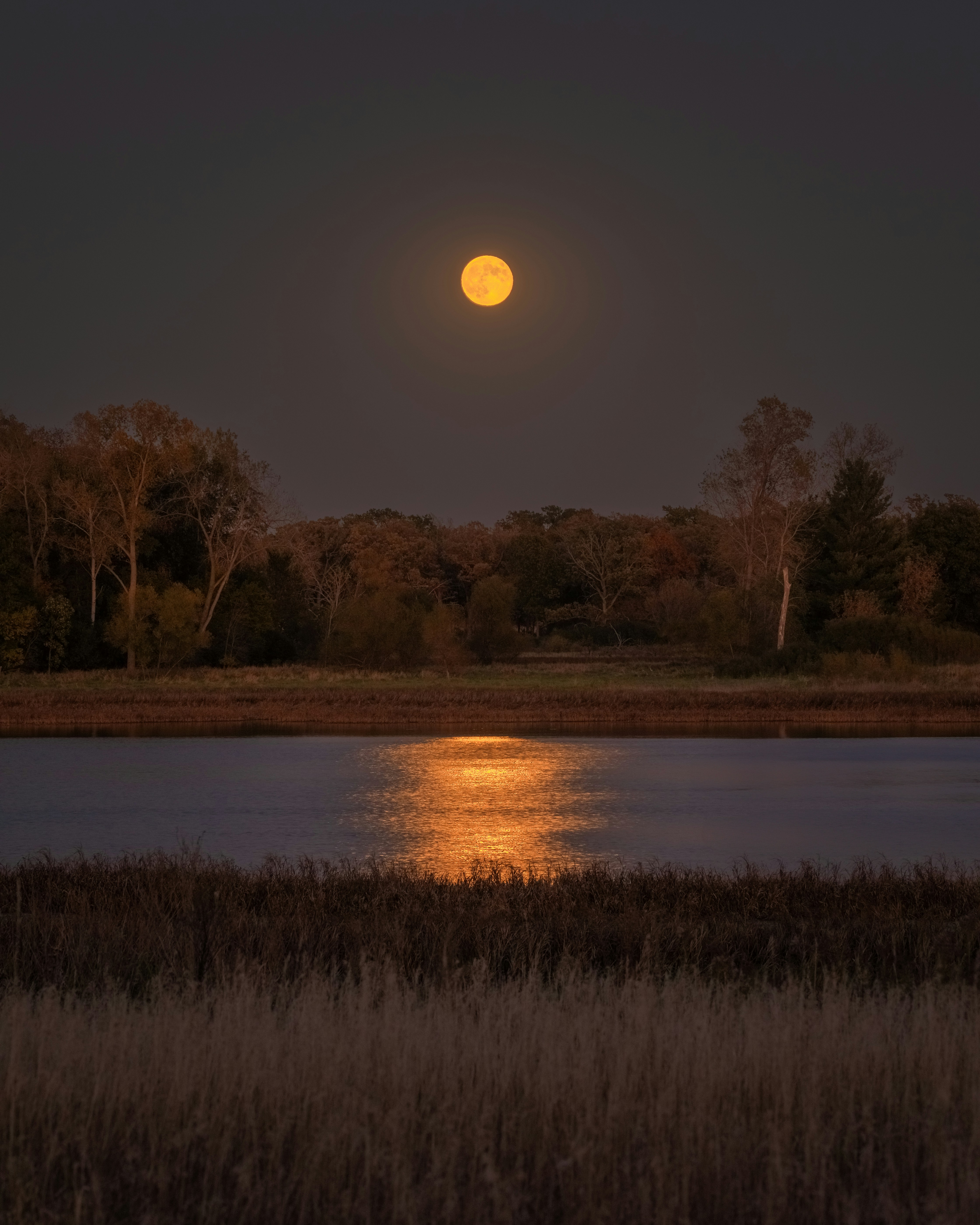 A full moon rising over a body of water