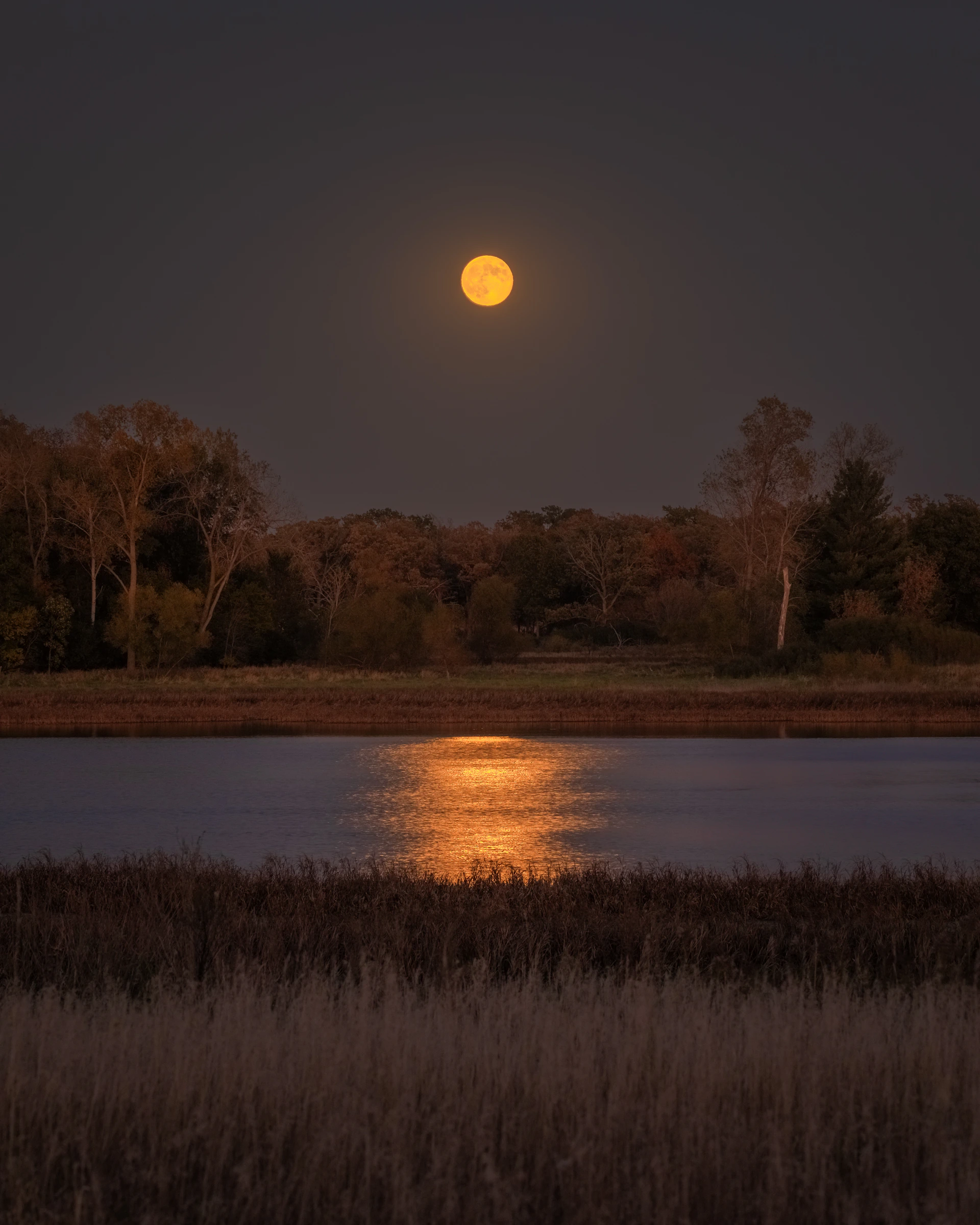 A full moon rising over a body of water