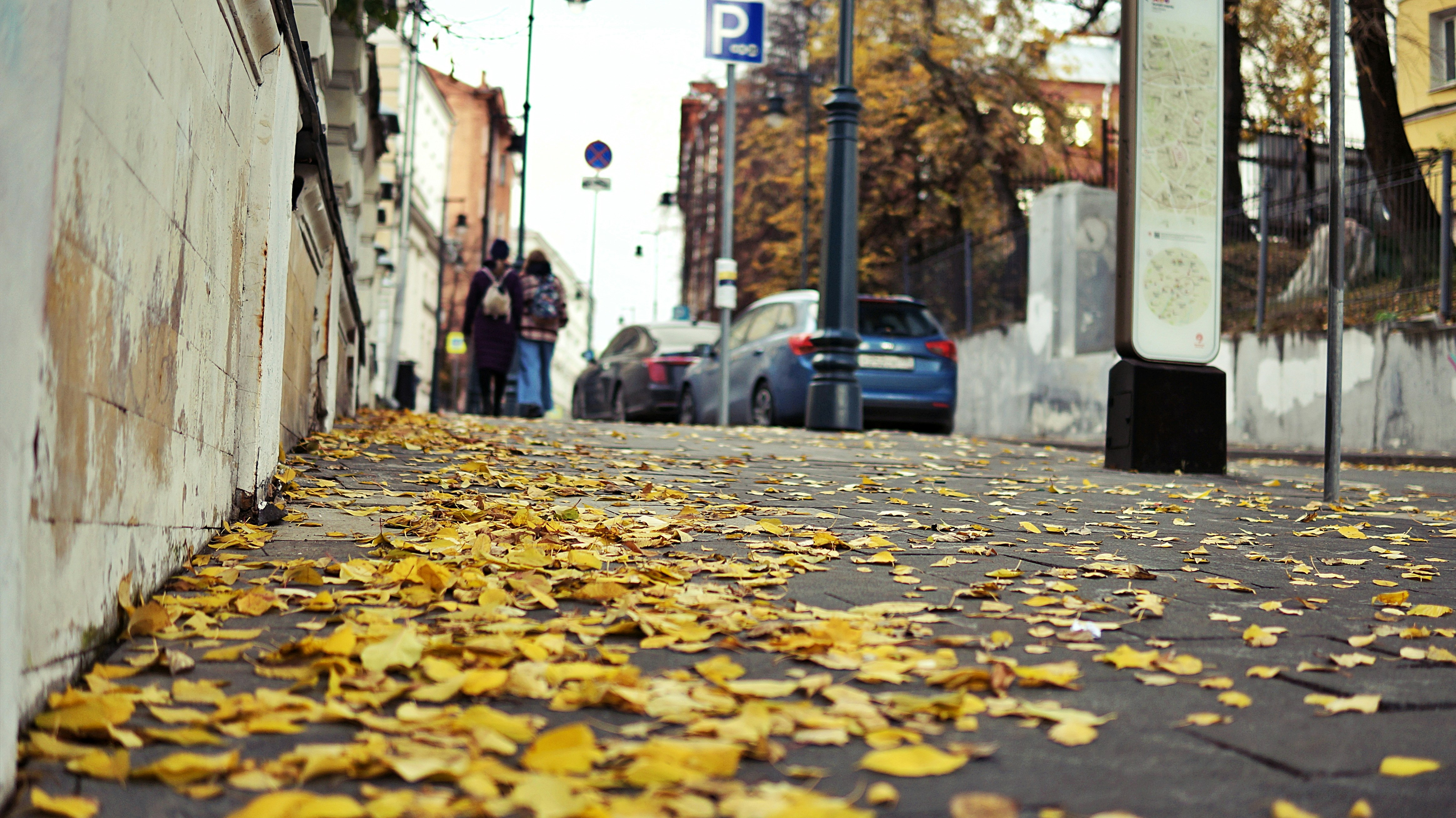 A street filled with lots of yellow leaves