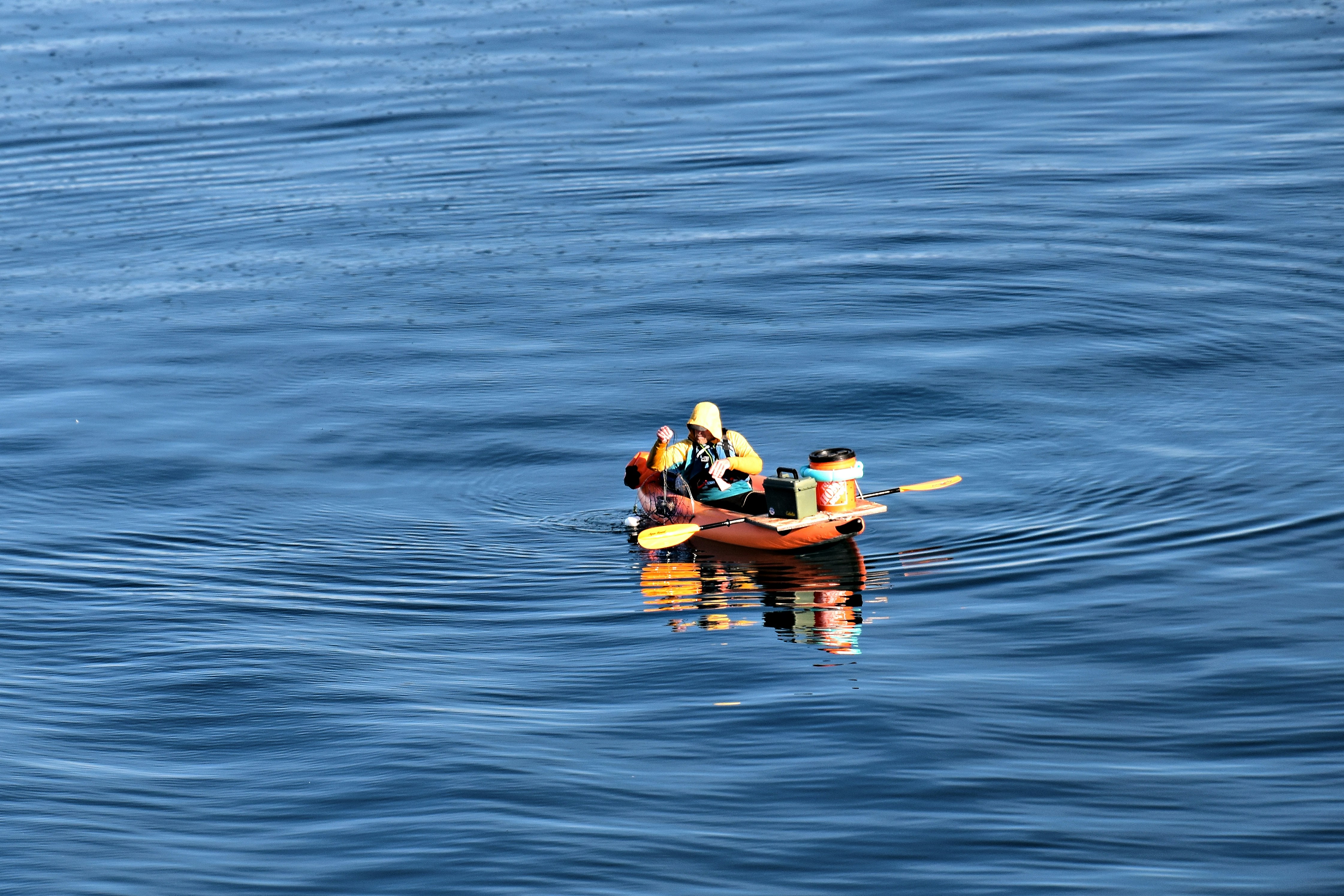 Employee Offboarding Procedure Free Template