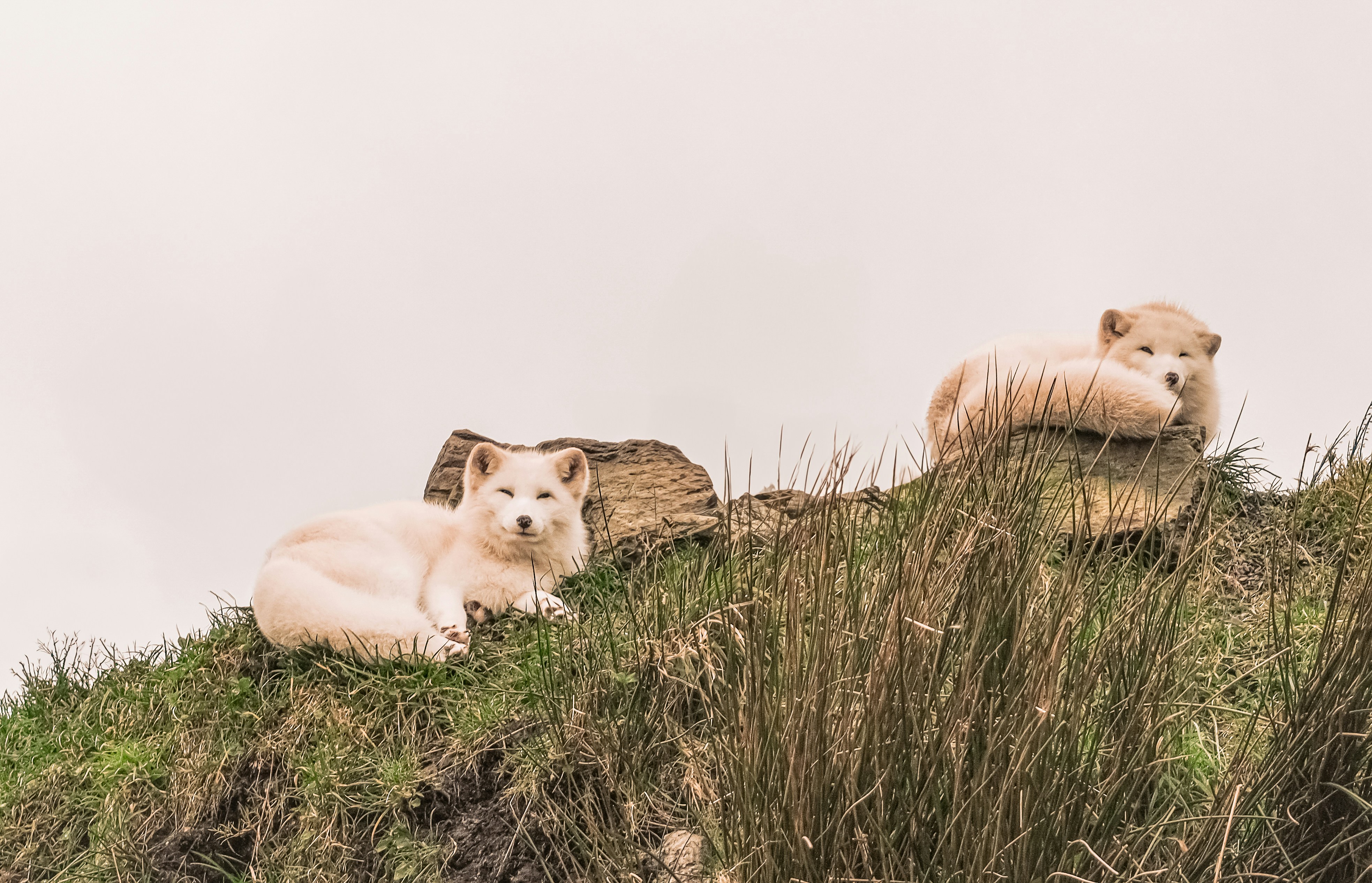 Photo by itsaroadmap