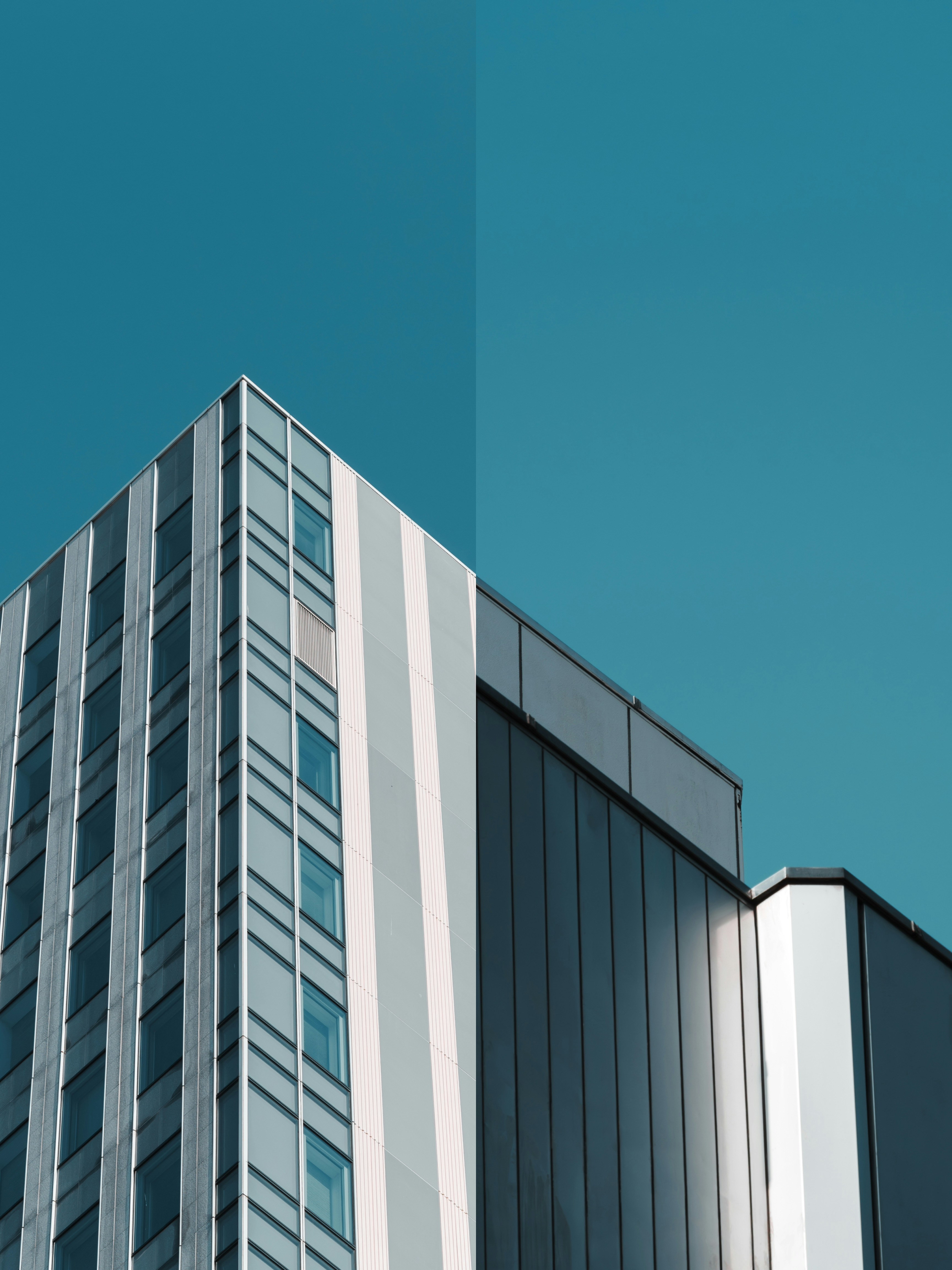 Photo by lilidongdong