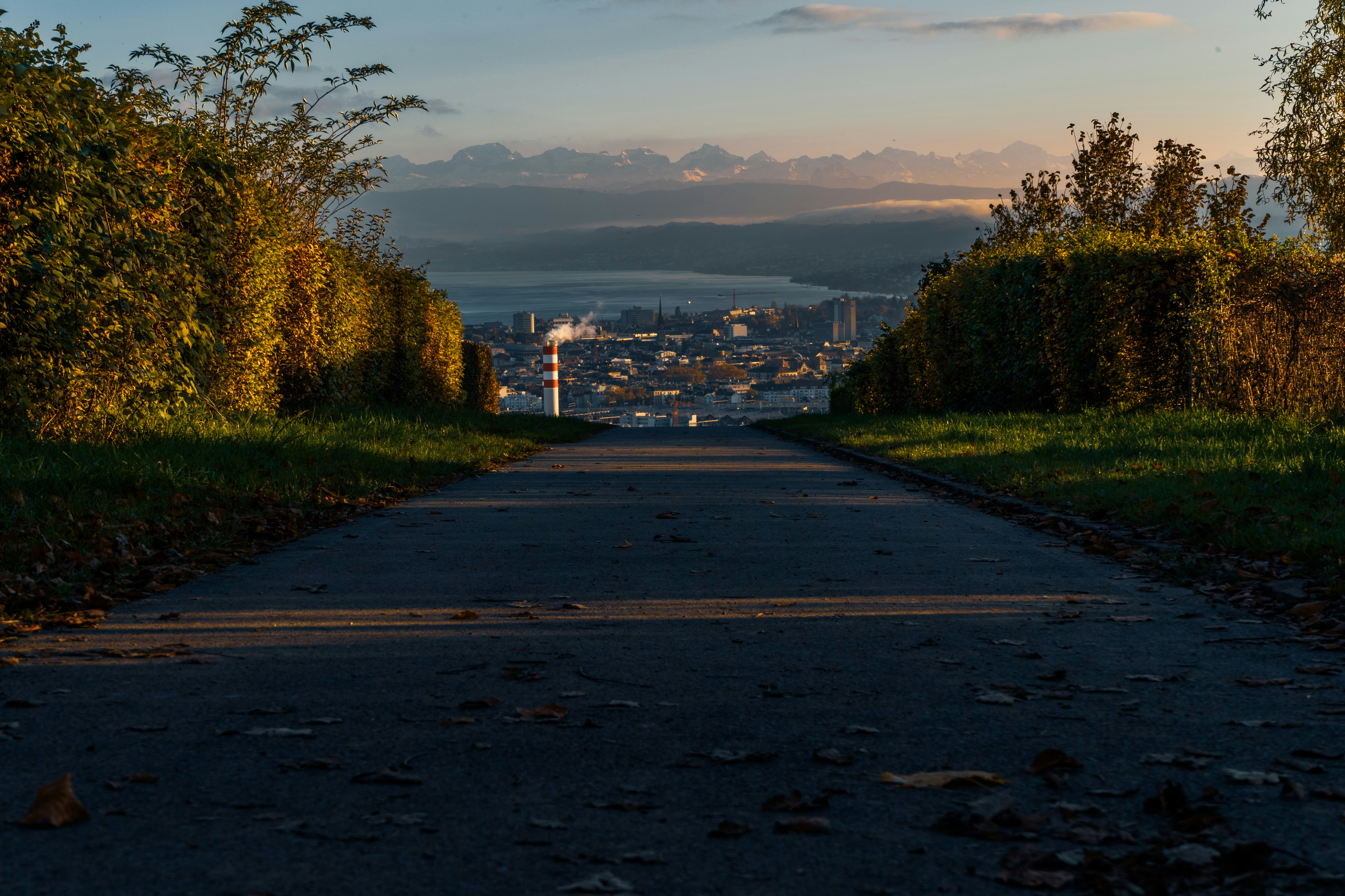 An empty road with a view of a city in the distance