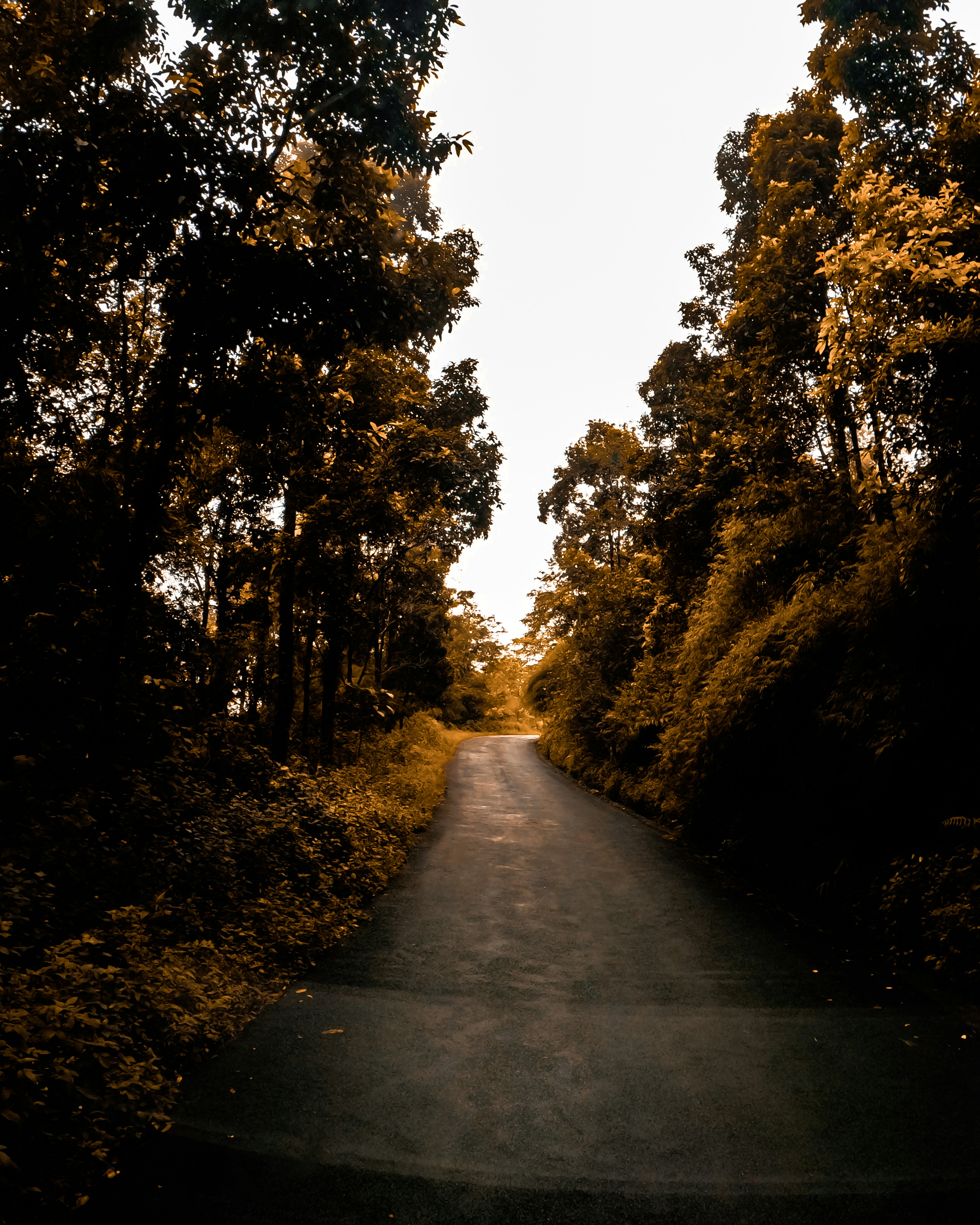 Photo by dipin_bhattarai