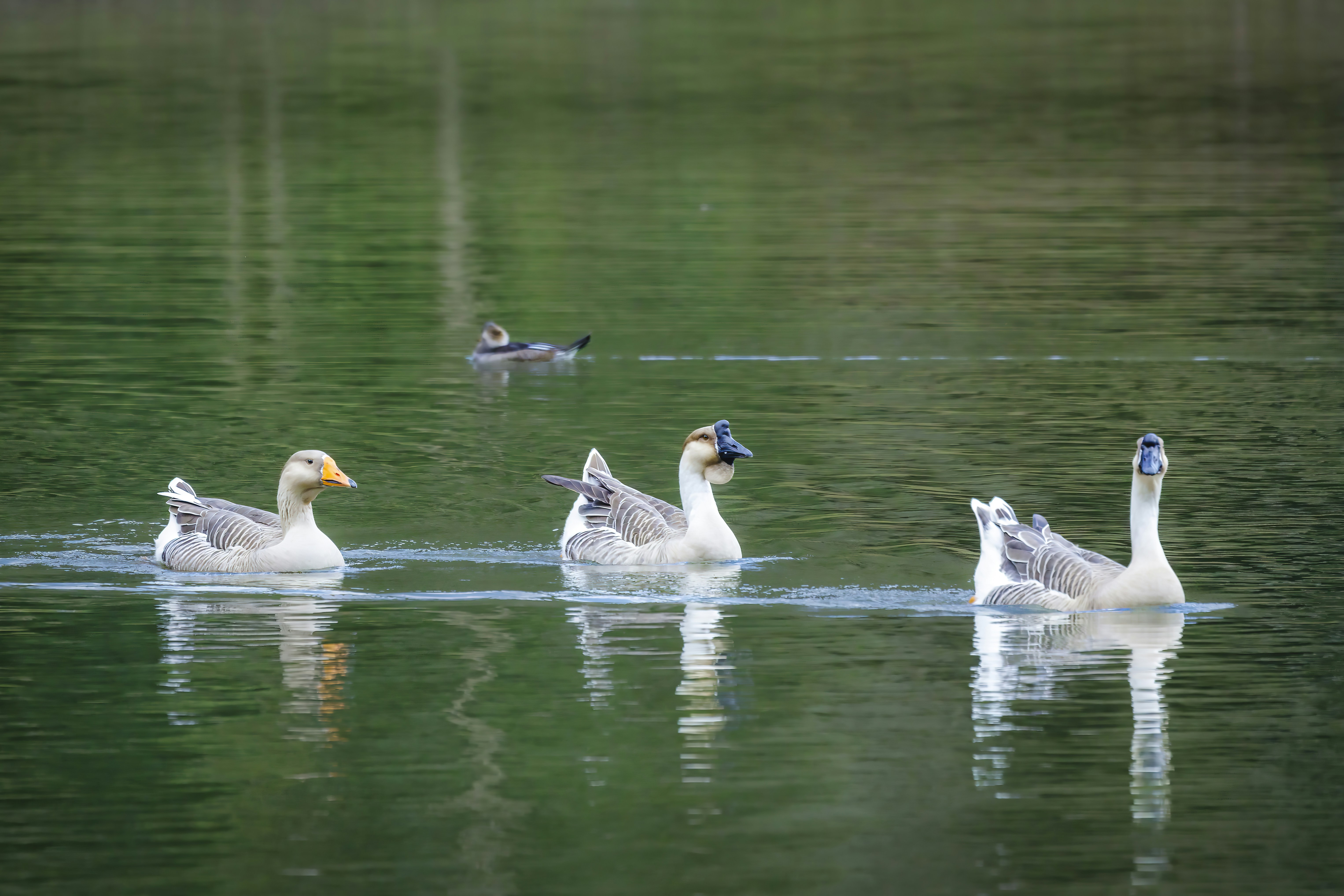 Photo by lrhoward1907