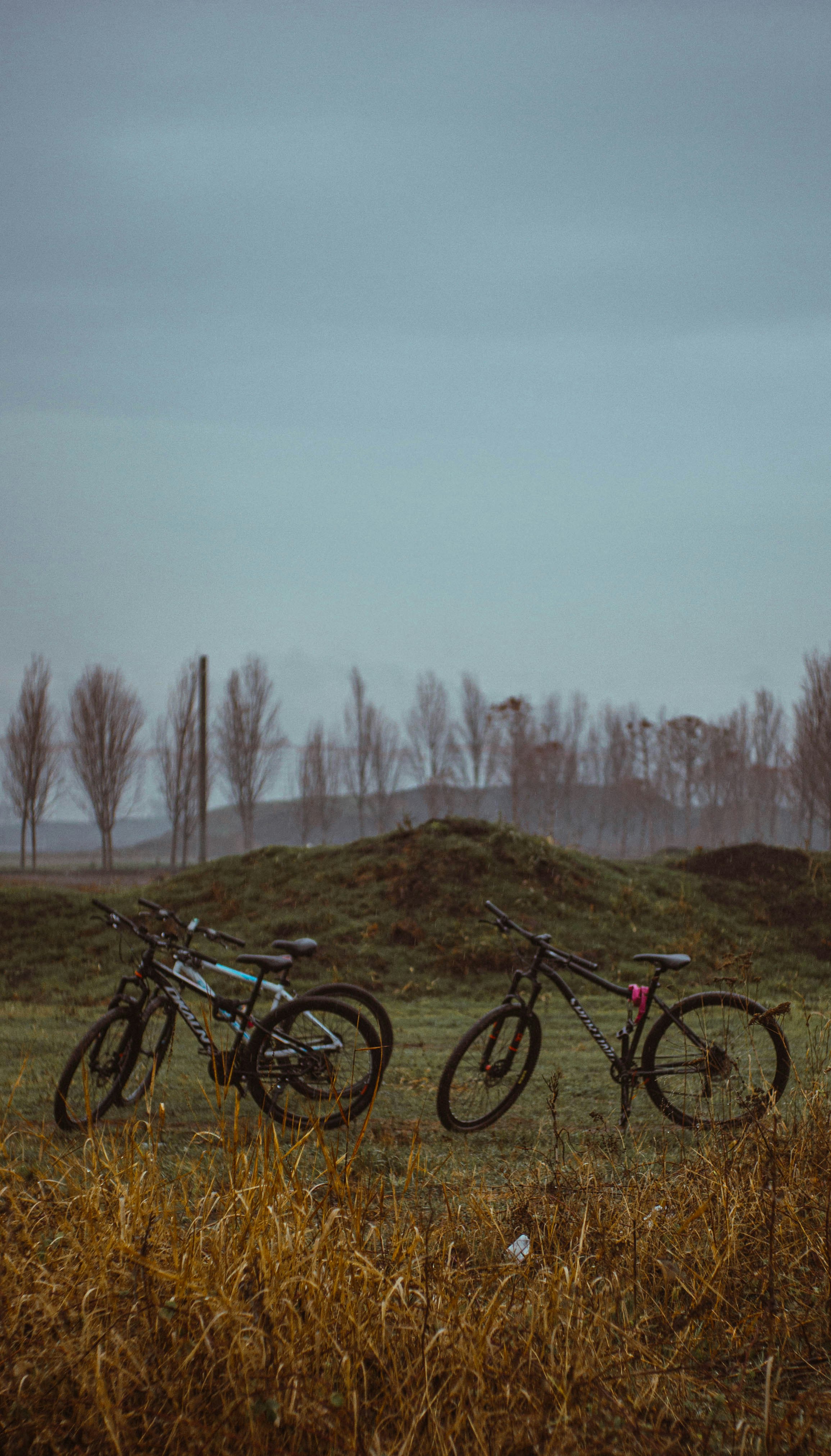 A couple of bikes that are sitting in the grass