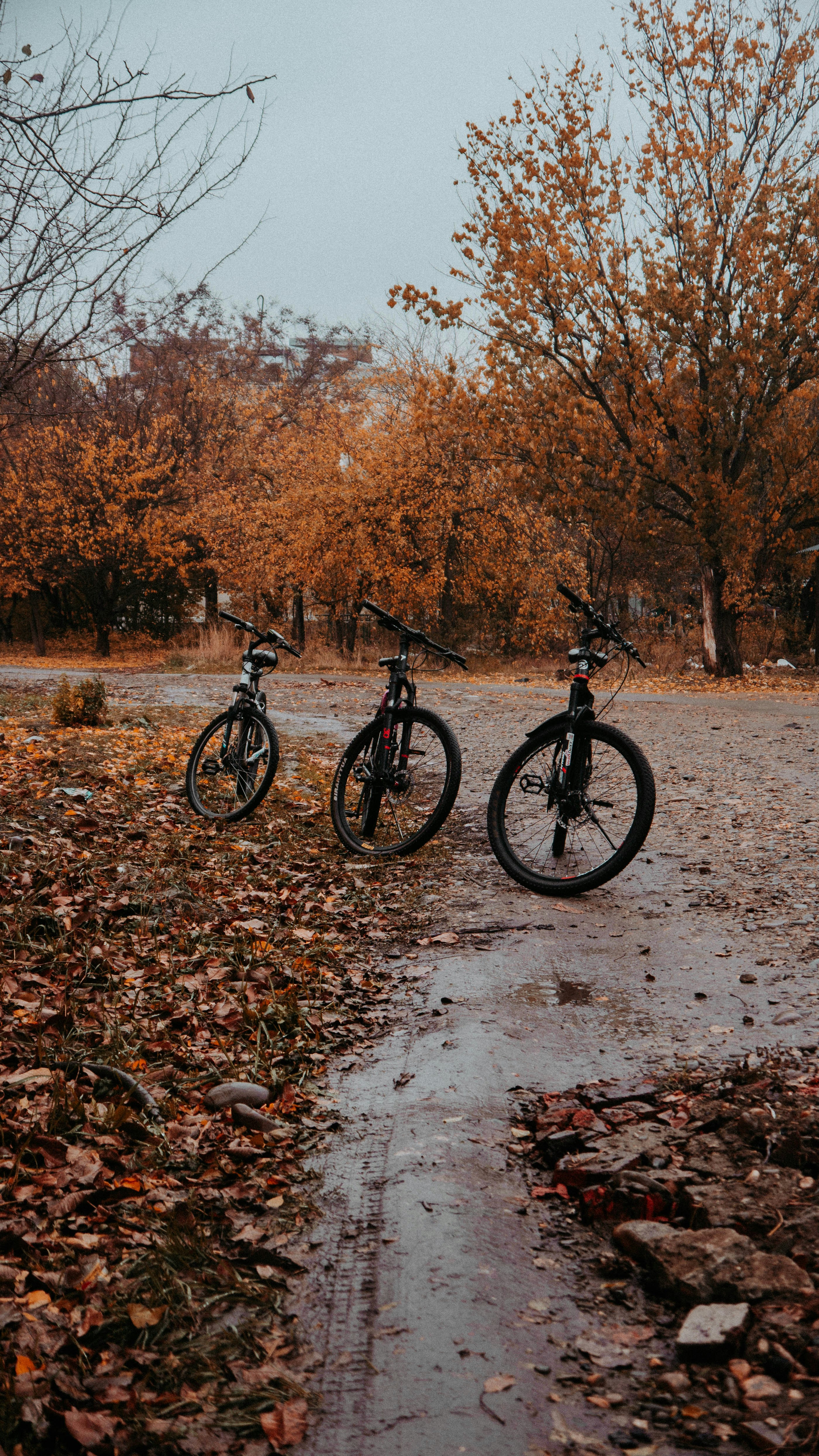 Photo by lisoview