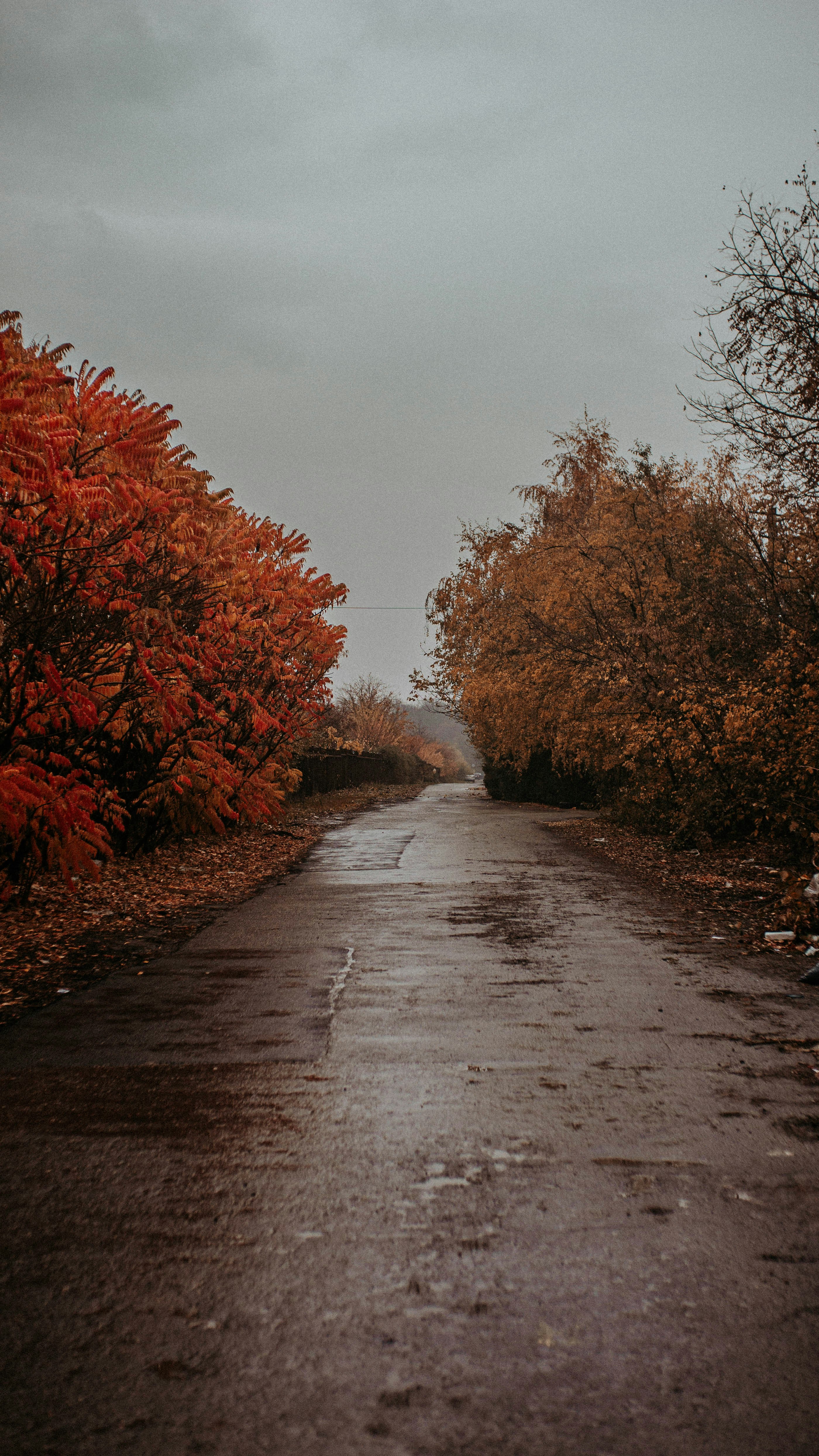 Photo by lisoview