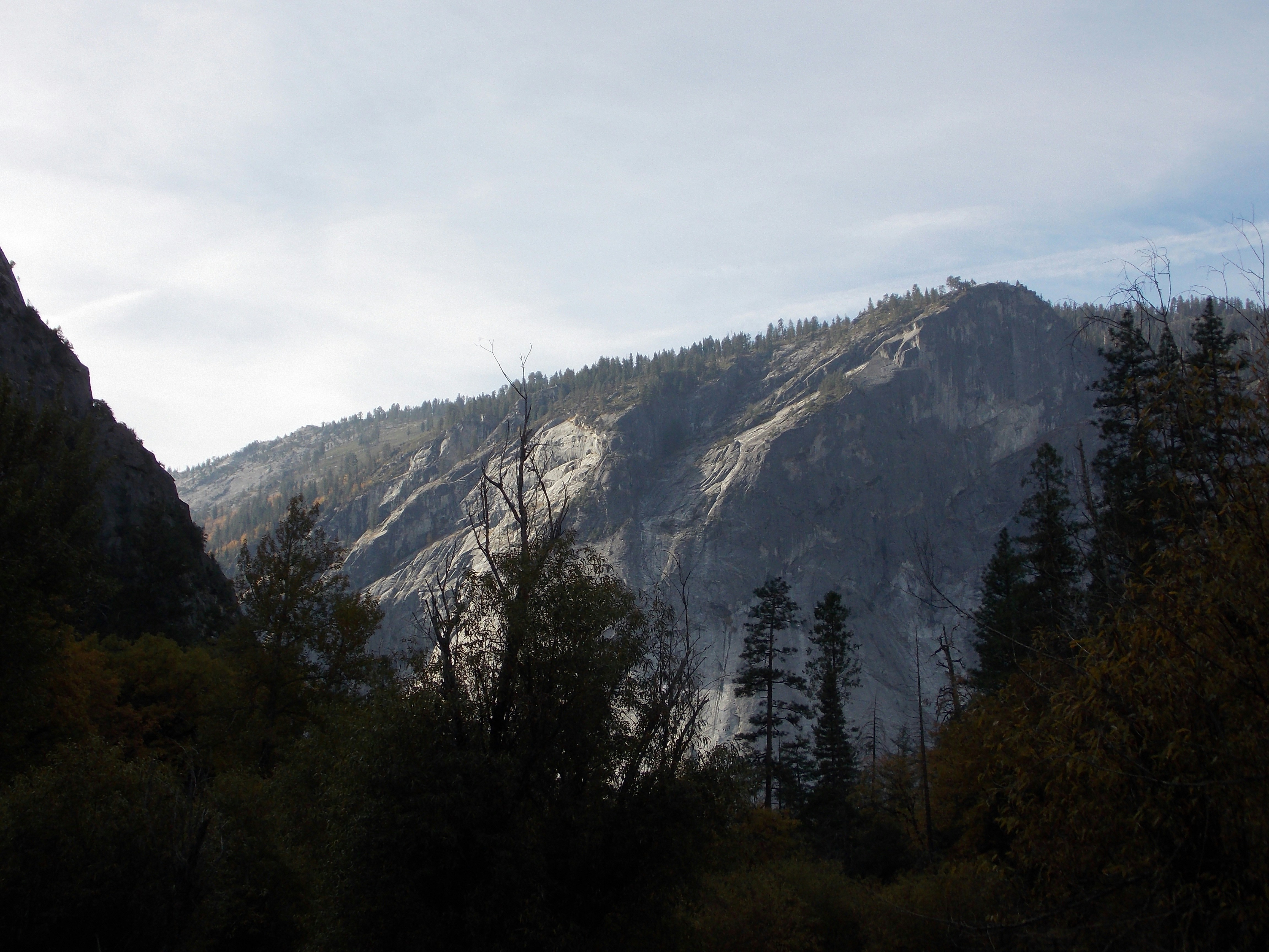 Photo by salinas_jonathan