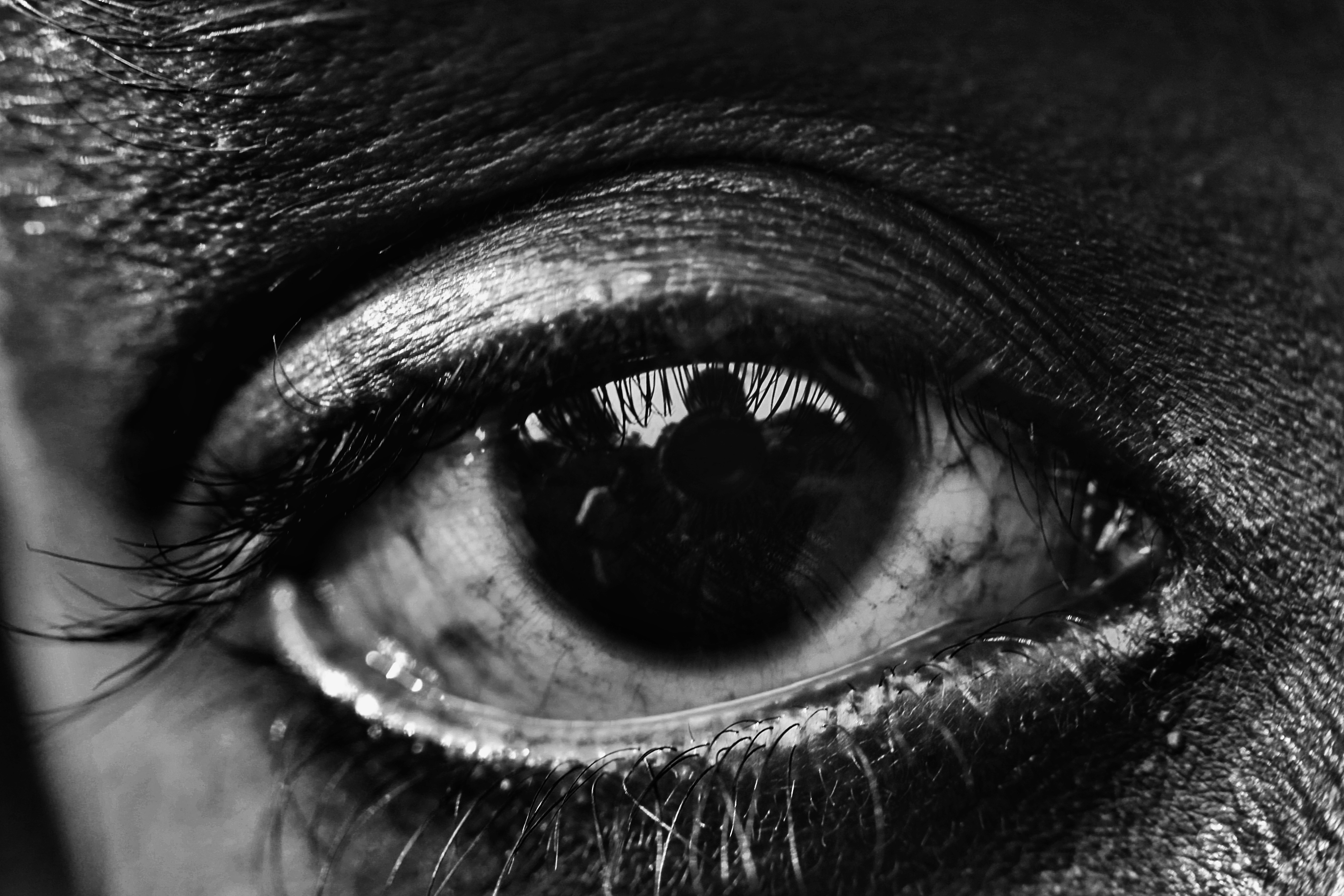 Hundred Eyes Quotes: 100+ Lines That Haunt & Inspire