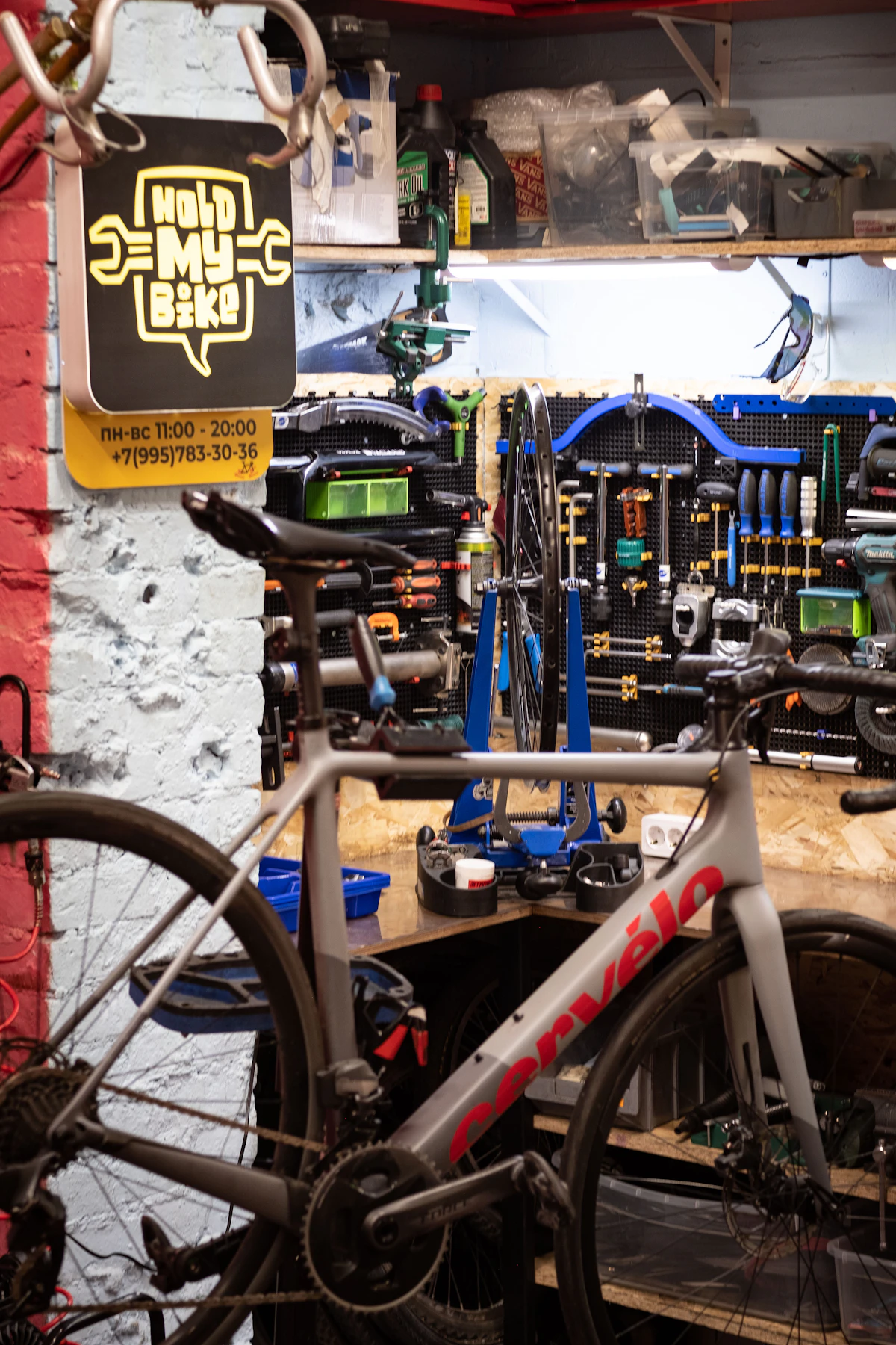 Interno di un negozio di biciclette con attrezzi e bici esposte