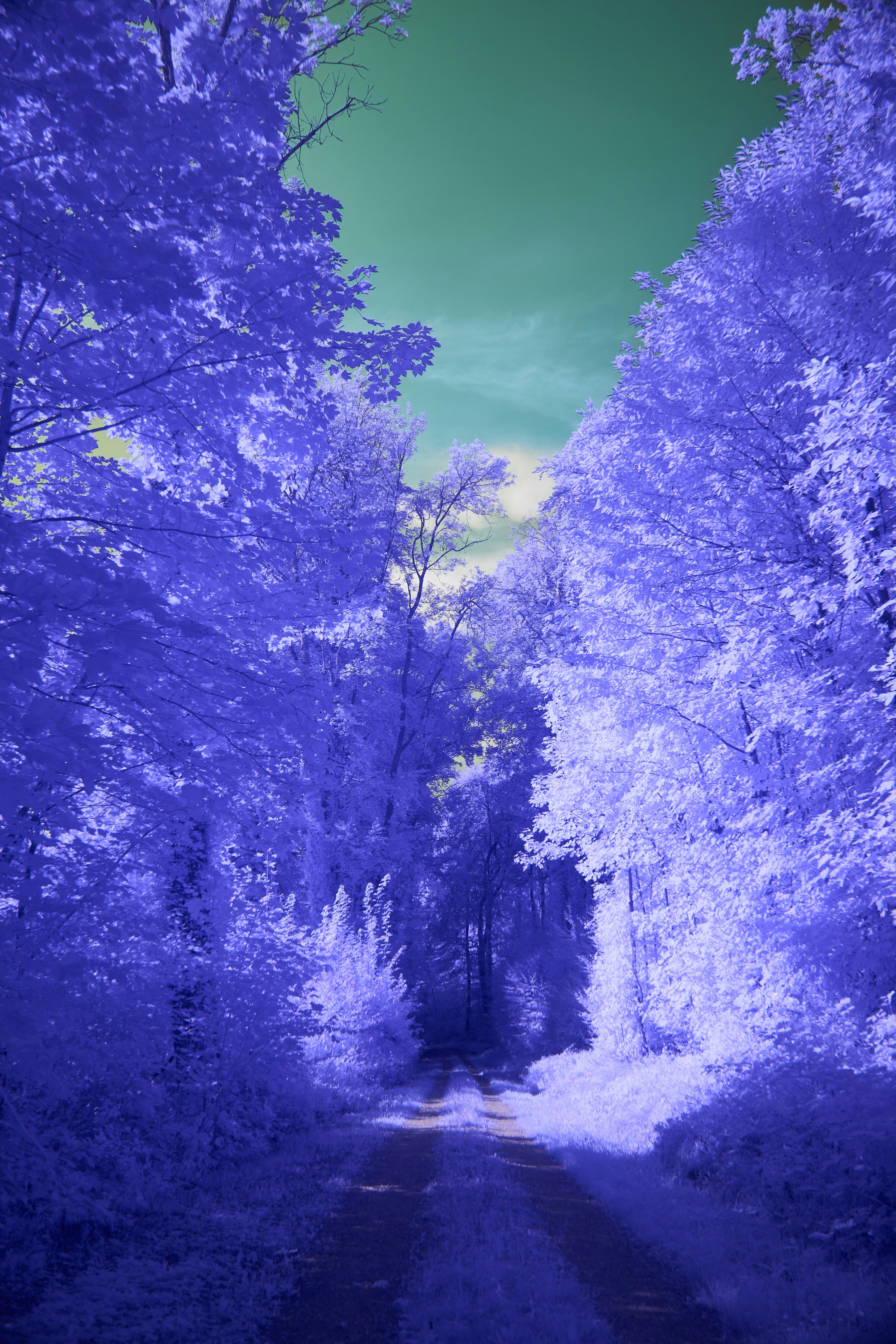 Photo by wolfgang_hasselmann