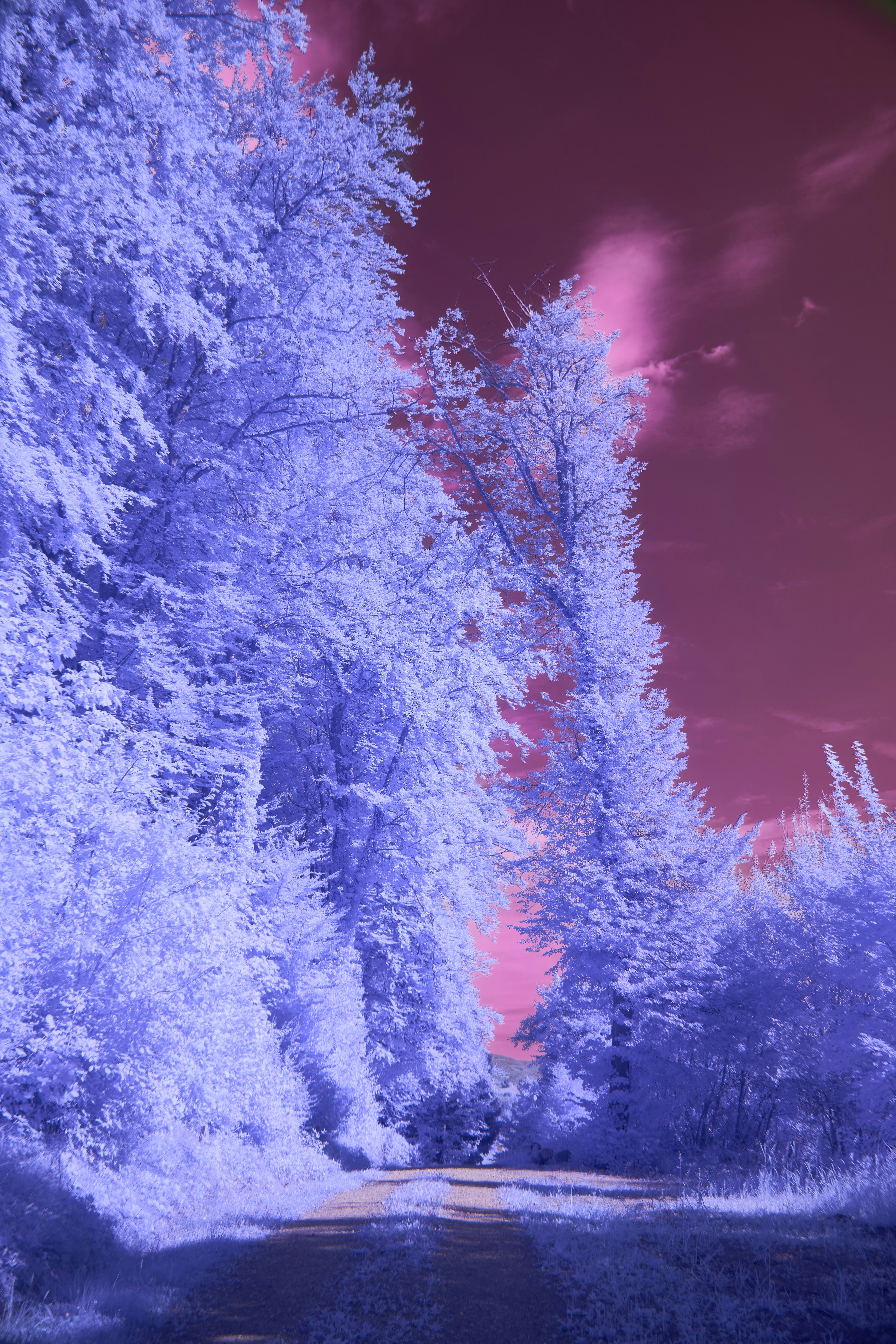 Photo by wolfgang_hasselmann