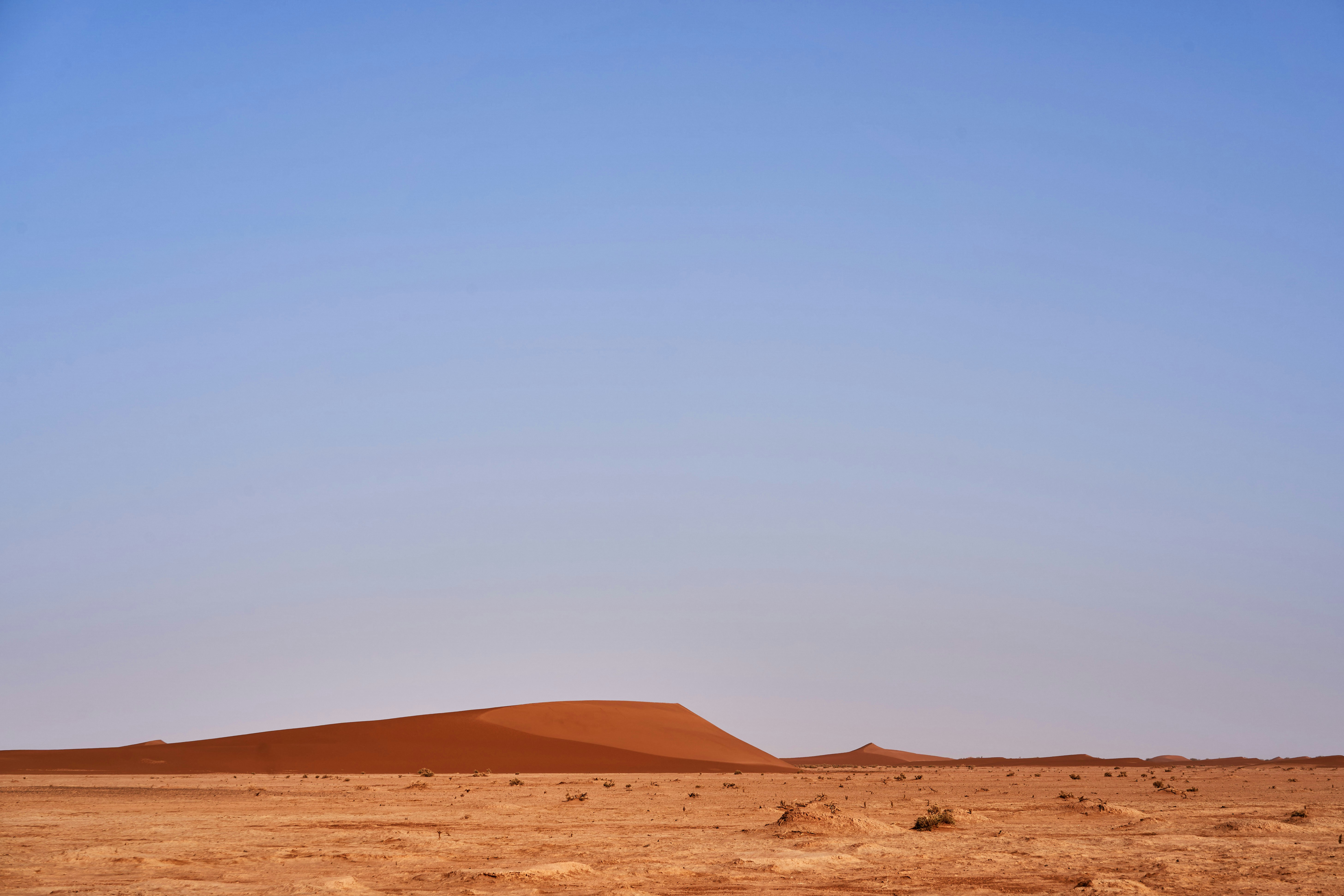 Photo by wolfgang_hasselmann