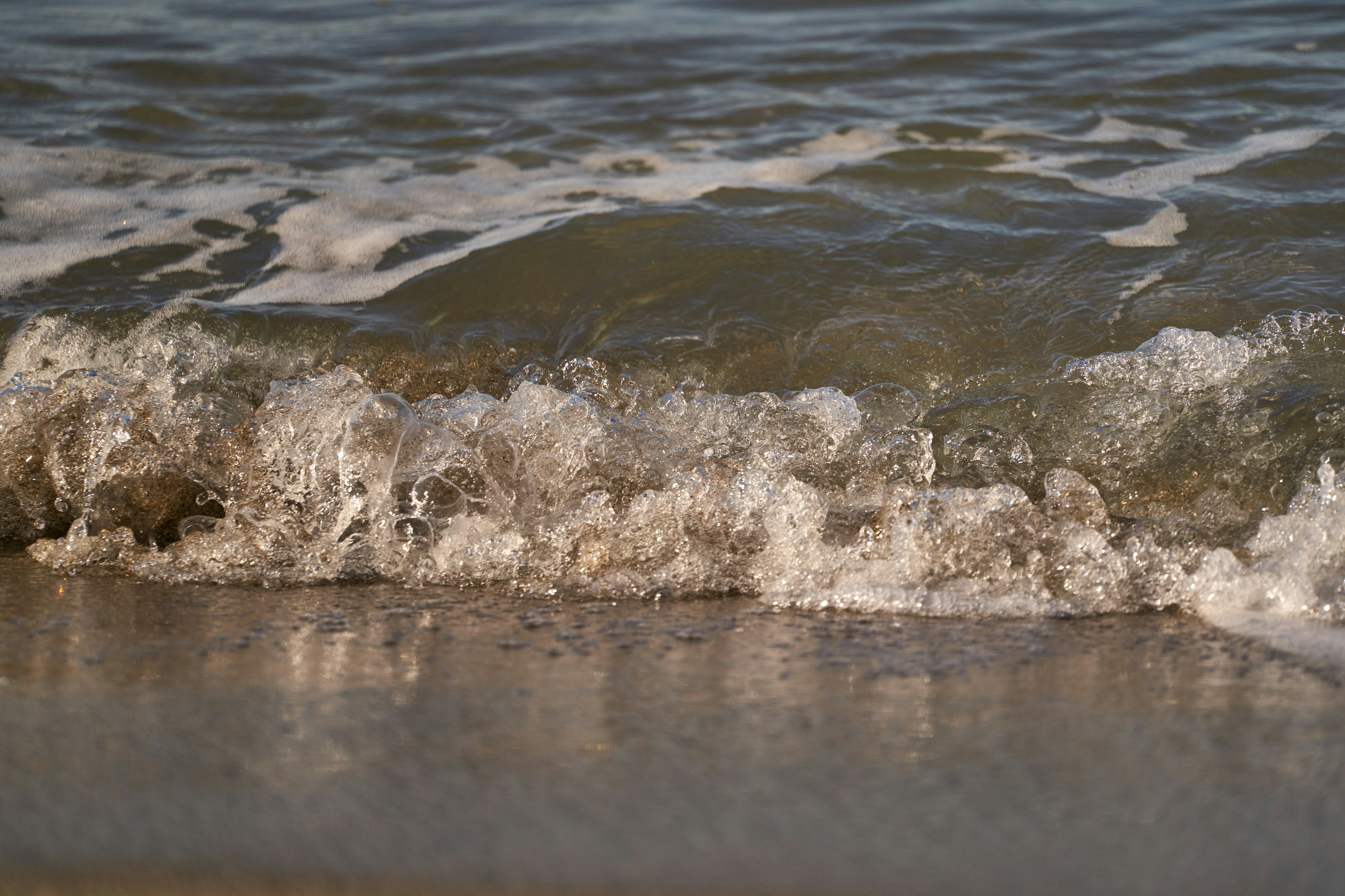 Photo by wolfgang_hasselmann