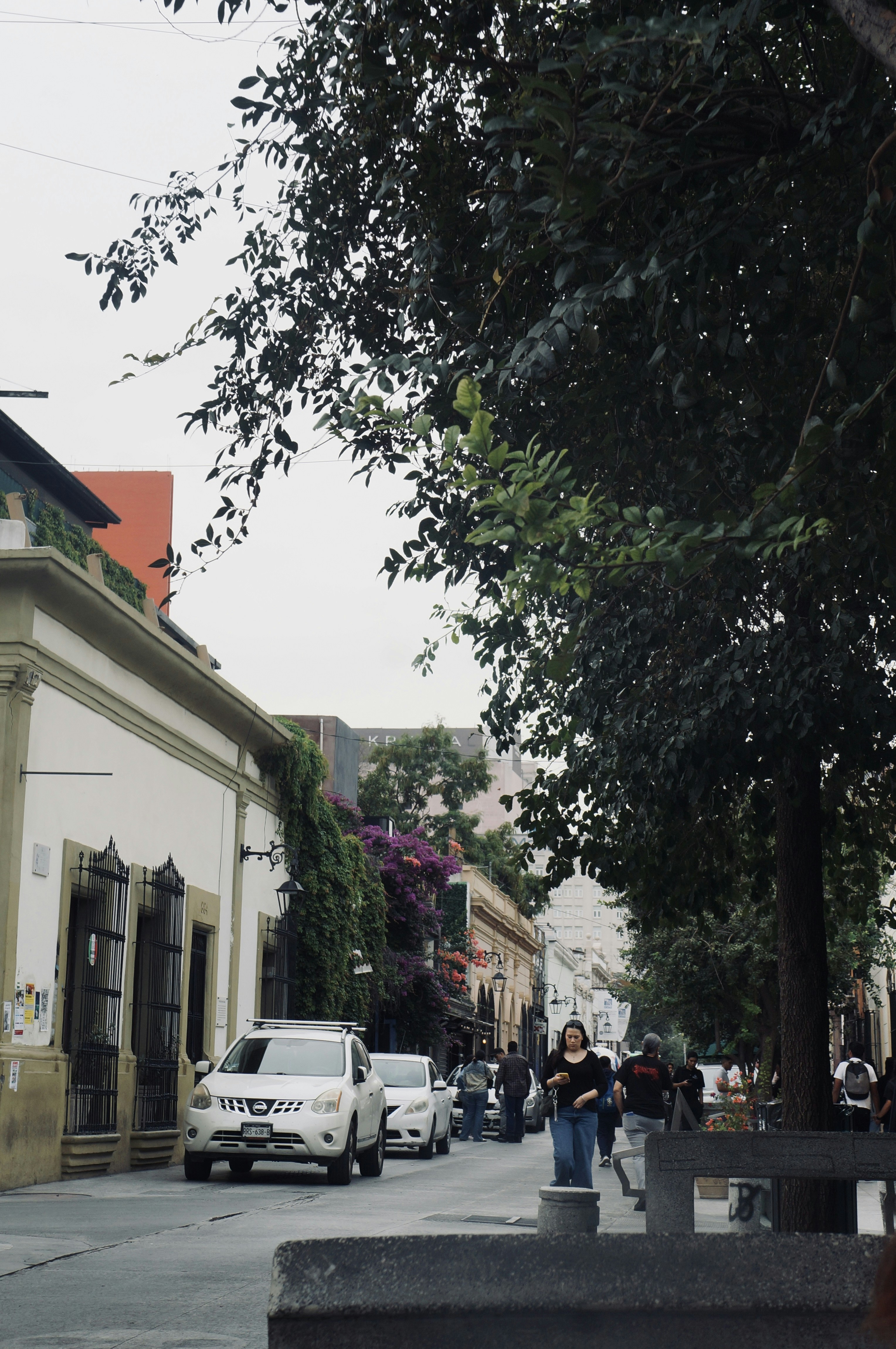 Photo by elizabeth_am