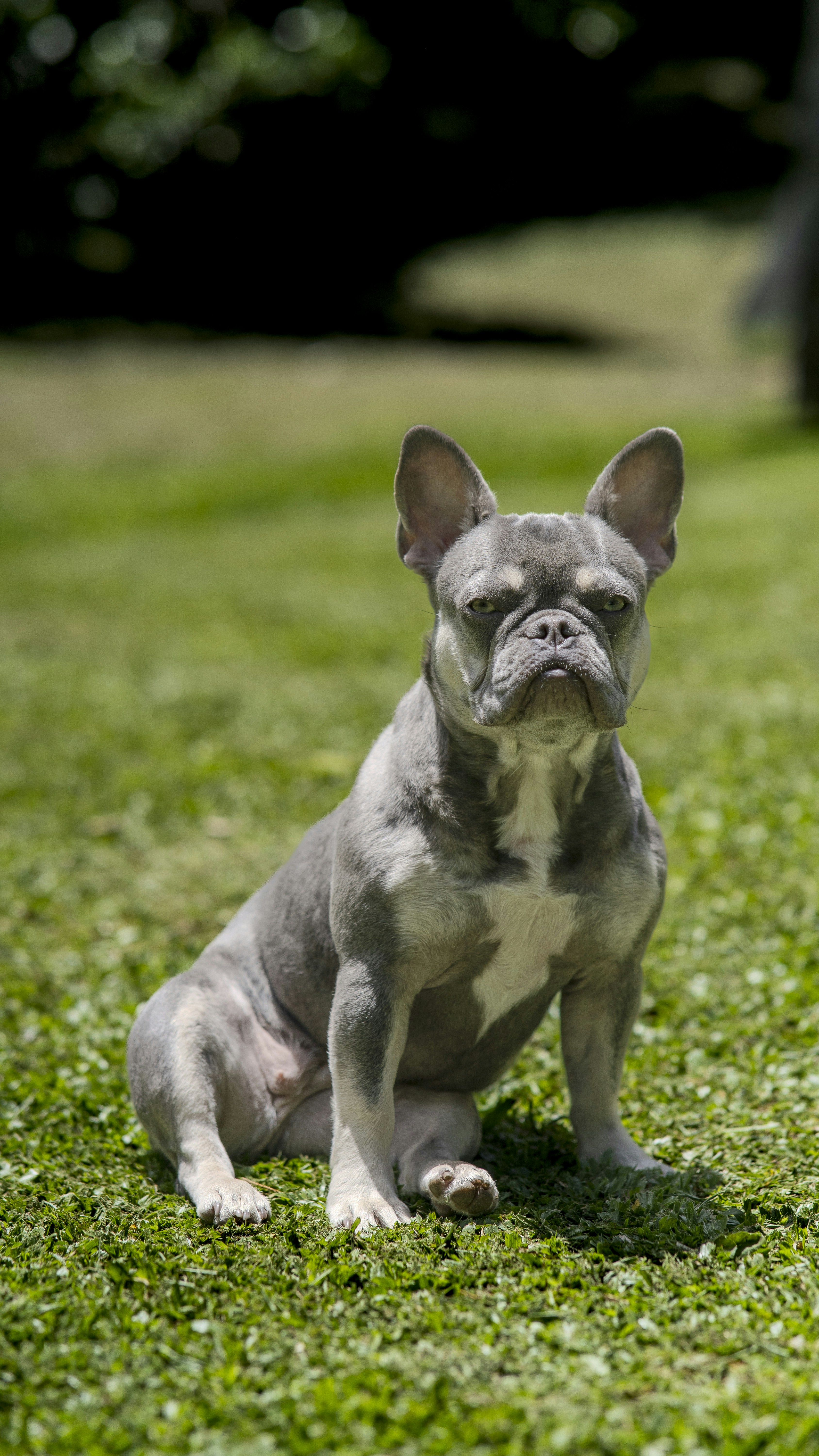 Photo by katalinsalles