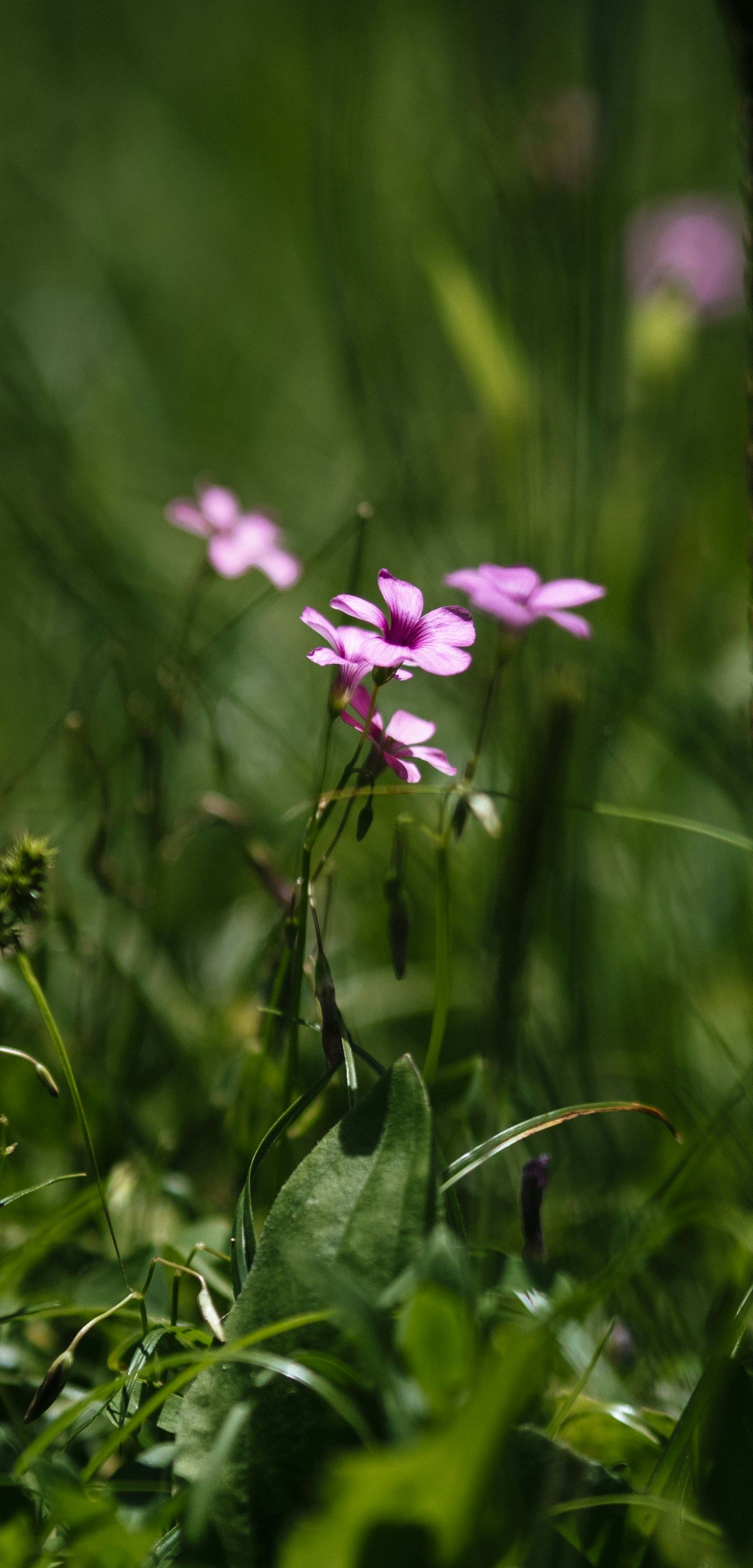 Photo by katalinsalles