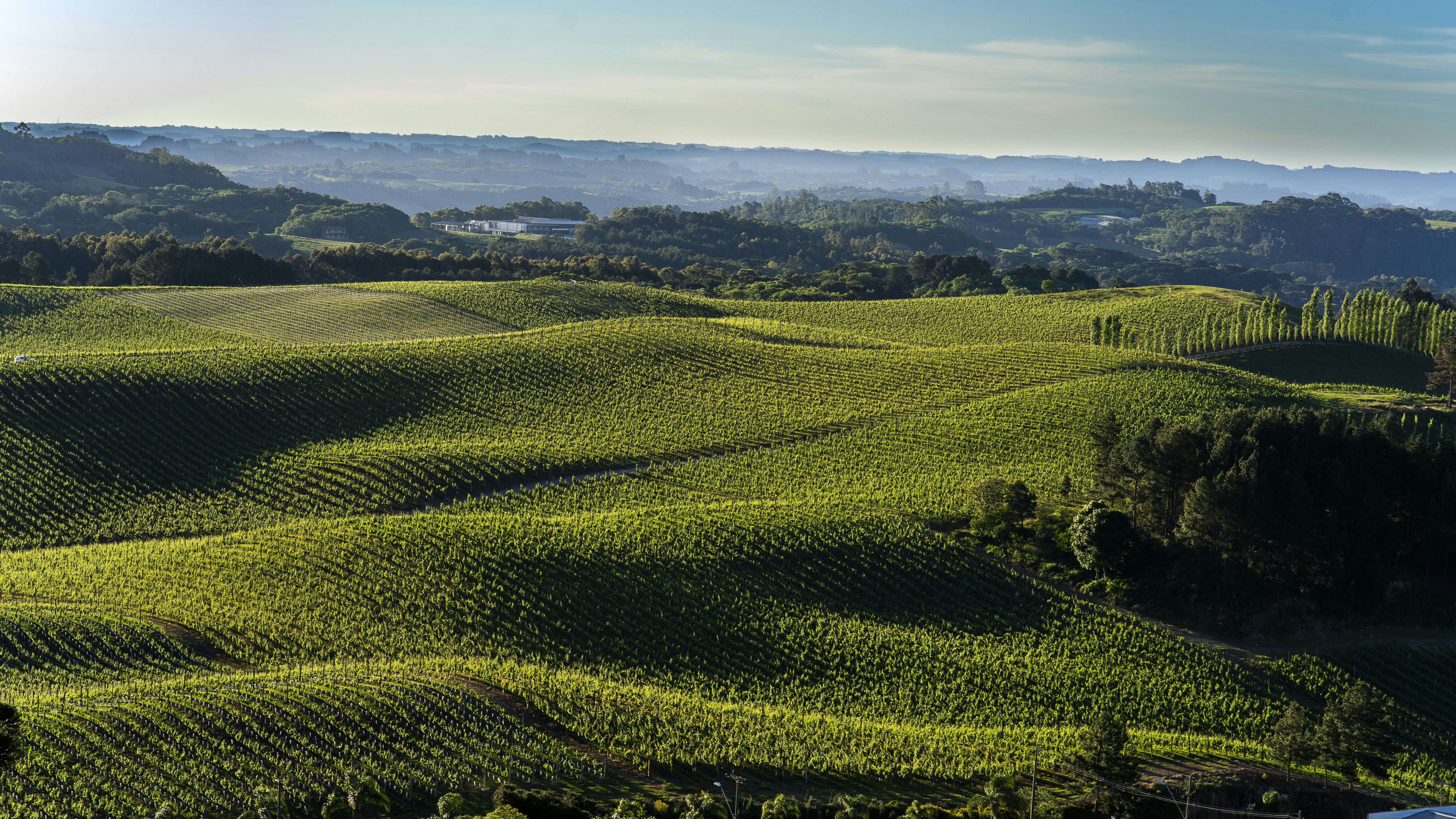 Photo by katalinsalles