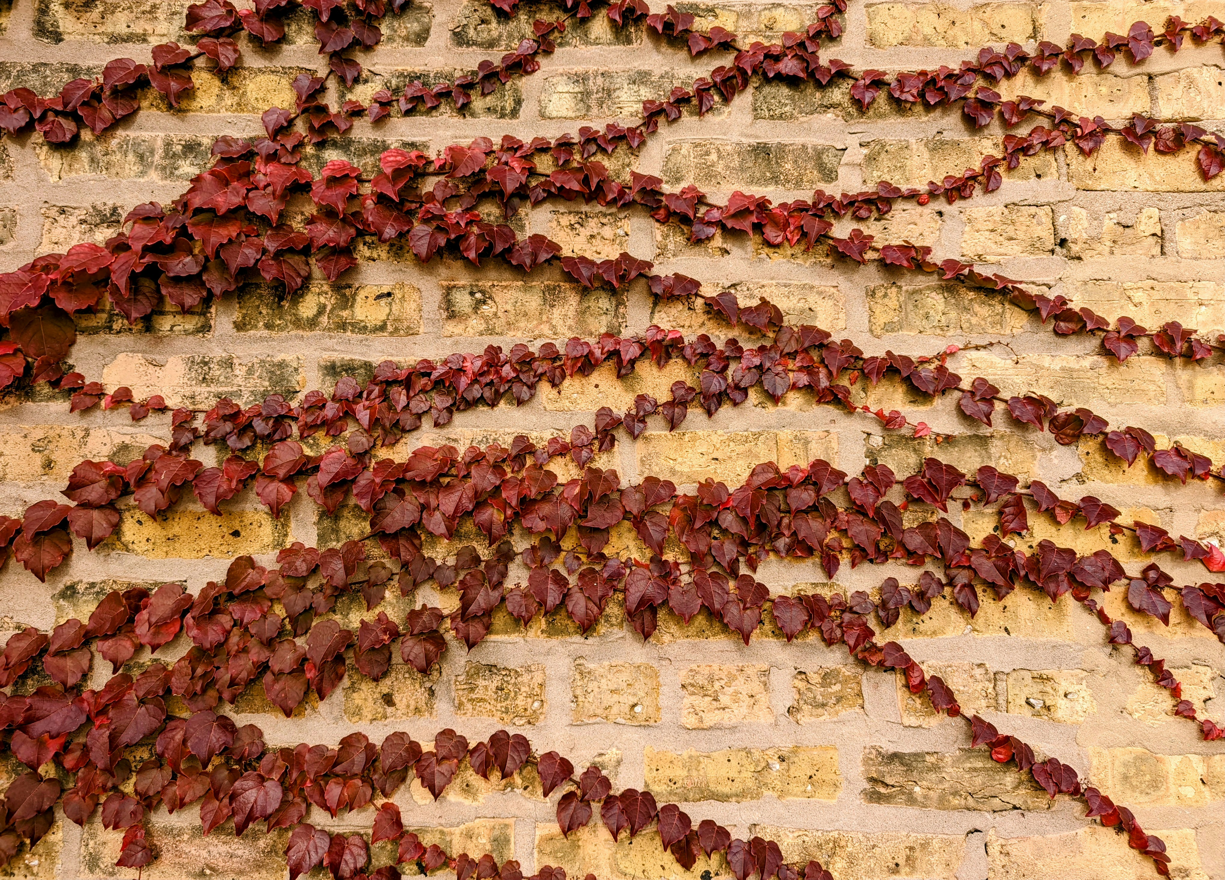 Photo by darkersolstice