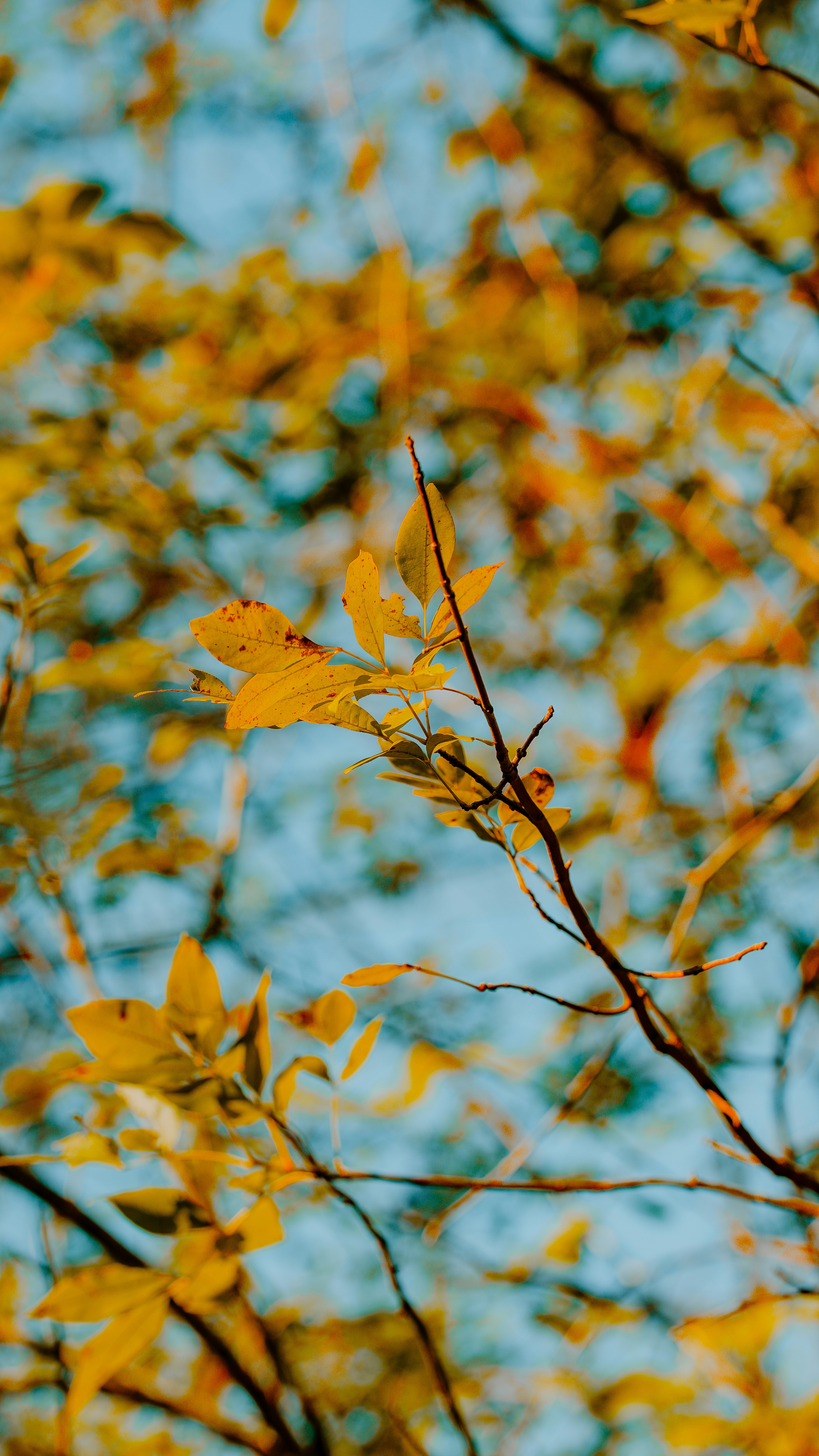 Photo by joseph_royer