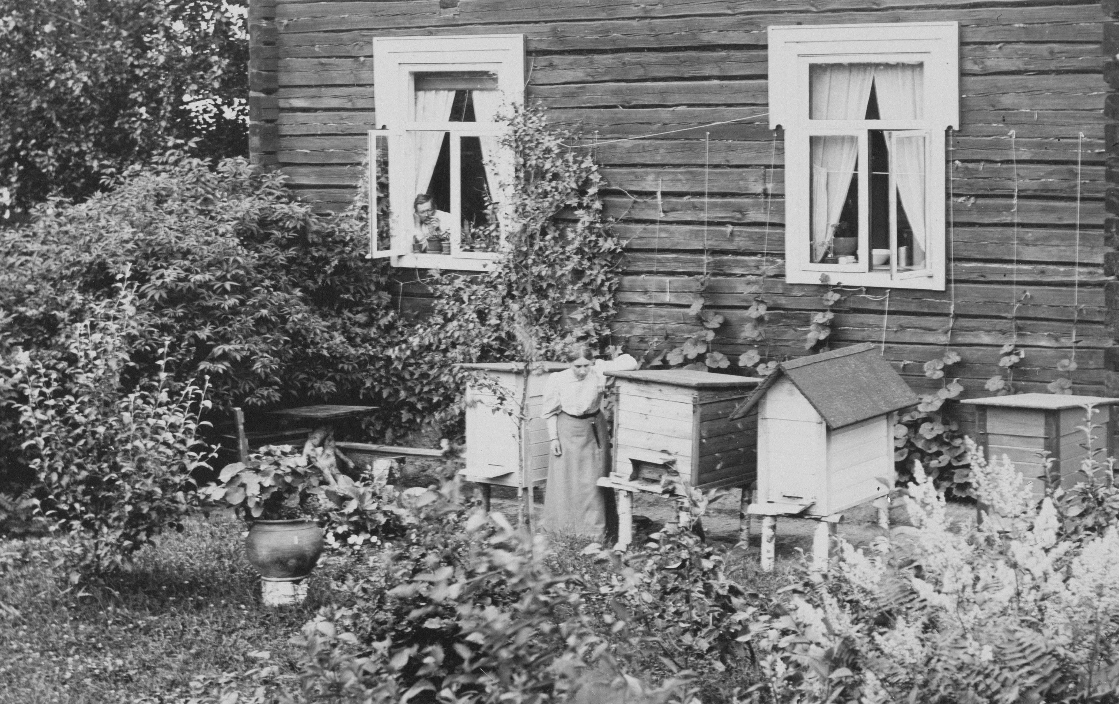 Photo by gallenkallelan