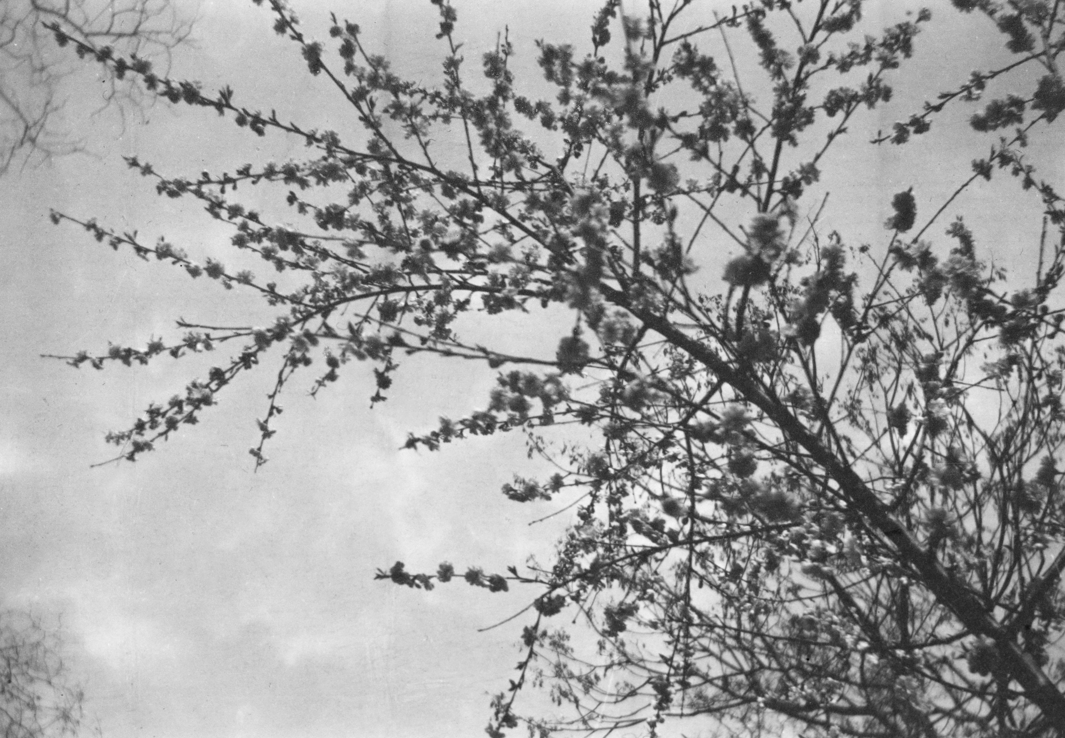 Photo by gallenkallelan