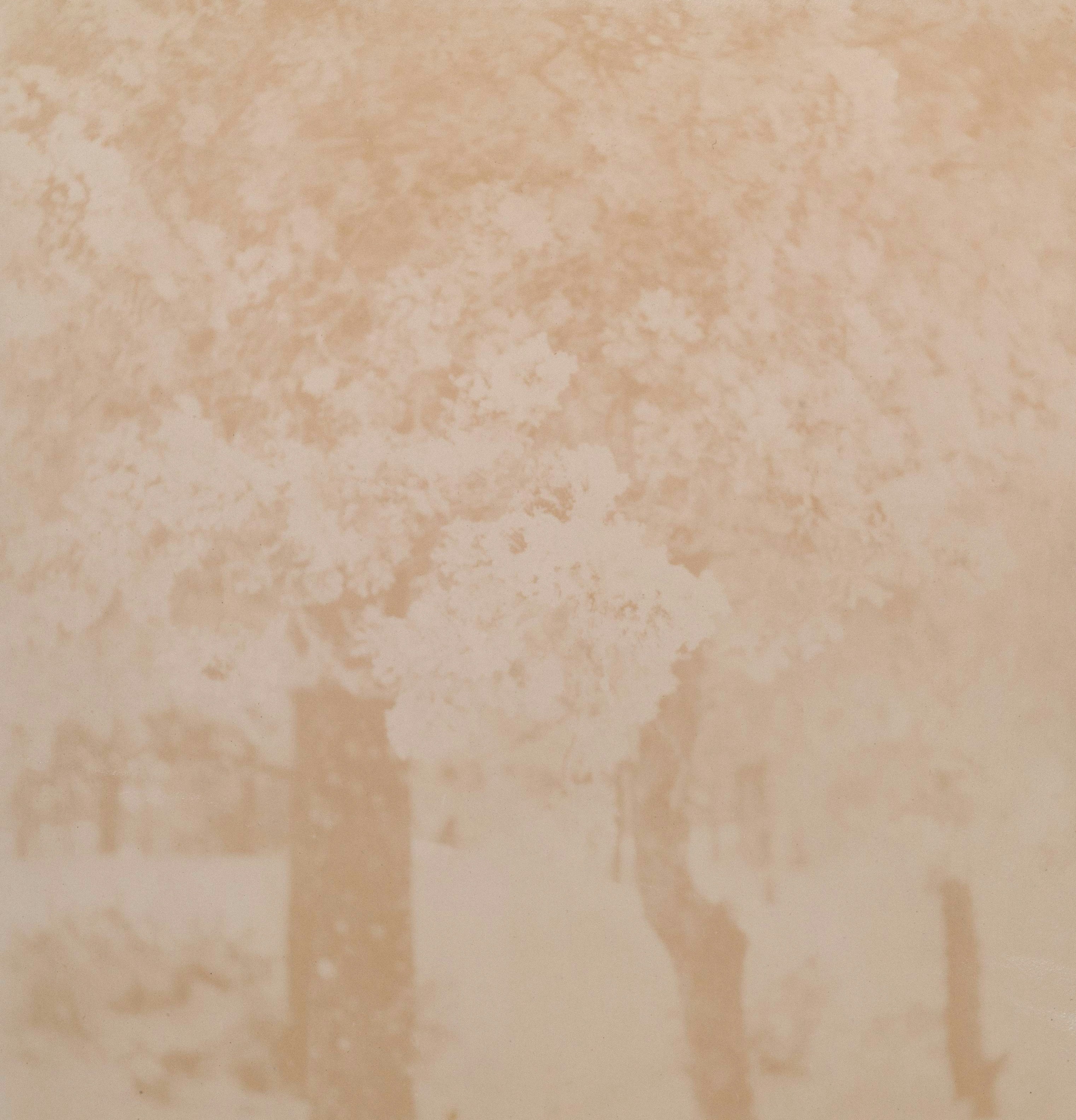 Photo by gallenkallelan