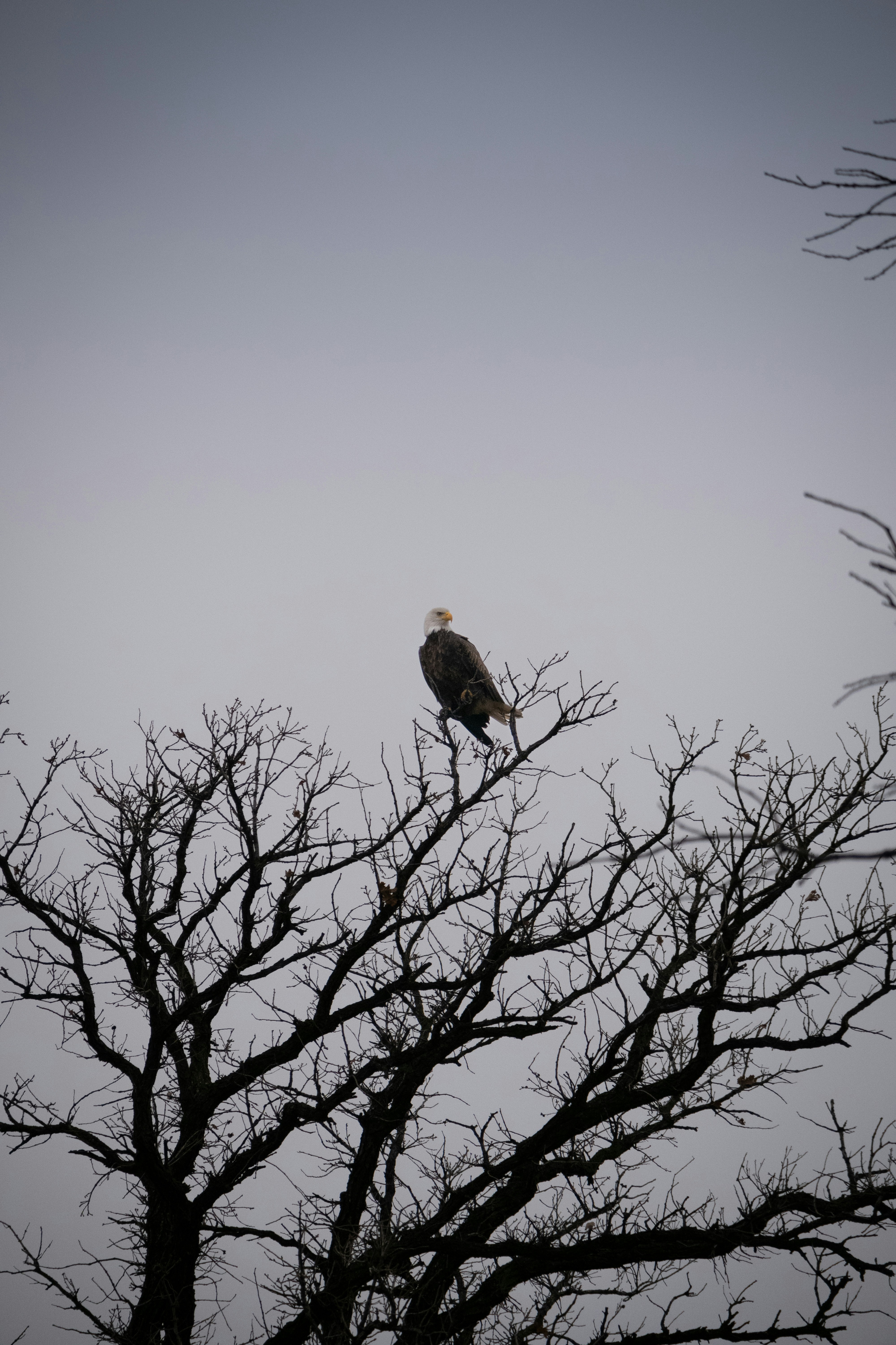 Photo by cabrel_bremault