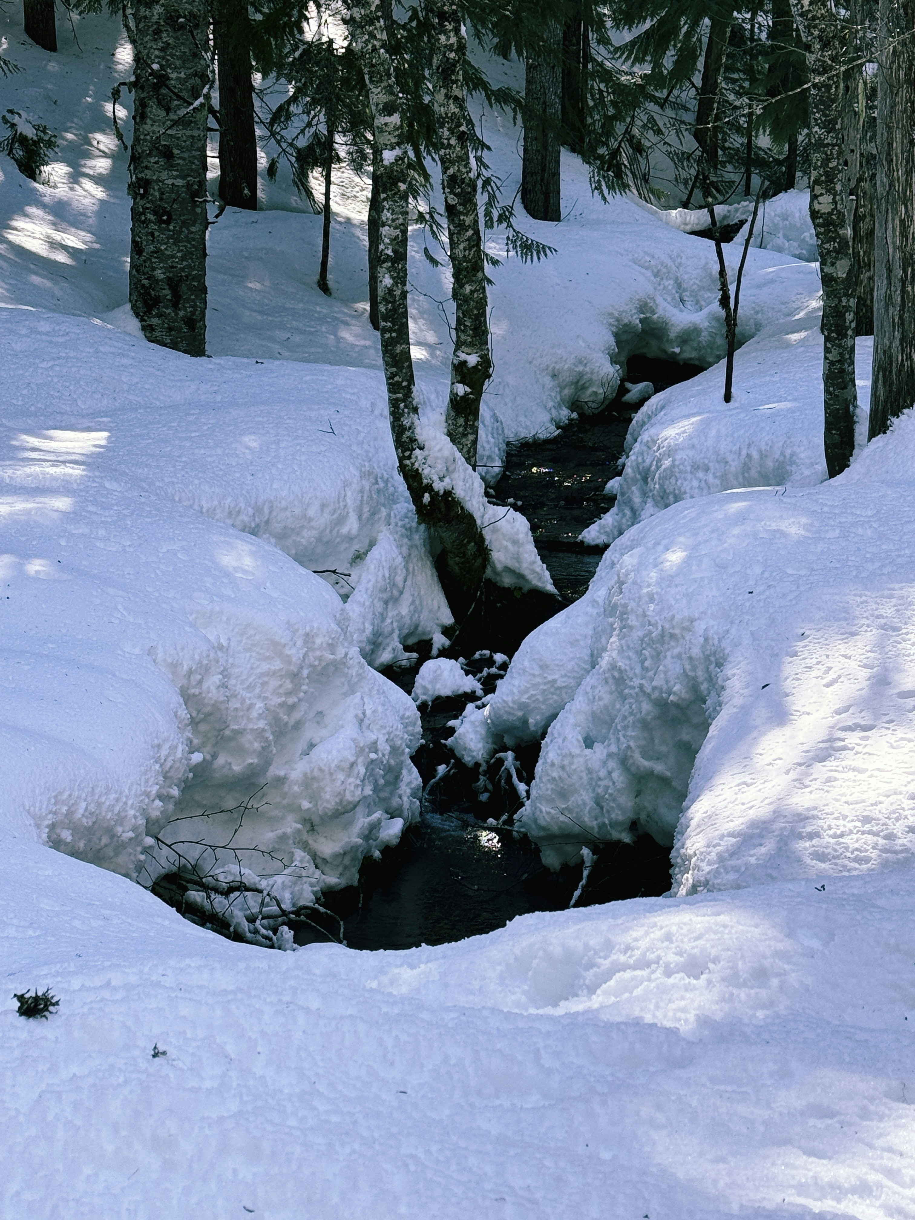 Ein Bach, der durch einen schneebedeckten Wald fließt